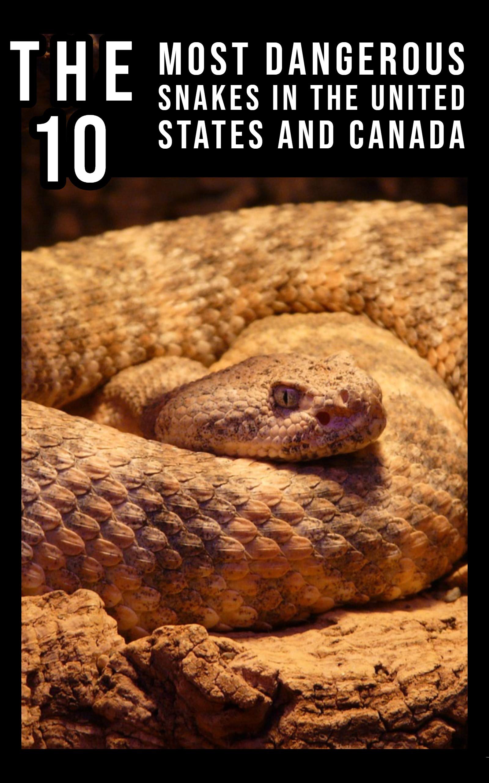 The 10 Most Dangerous Snakes in the United States and Canada by Larry