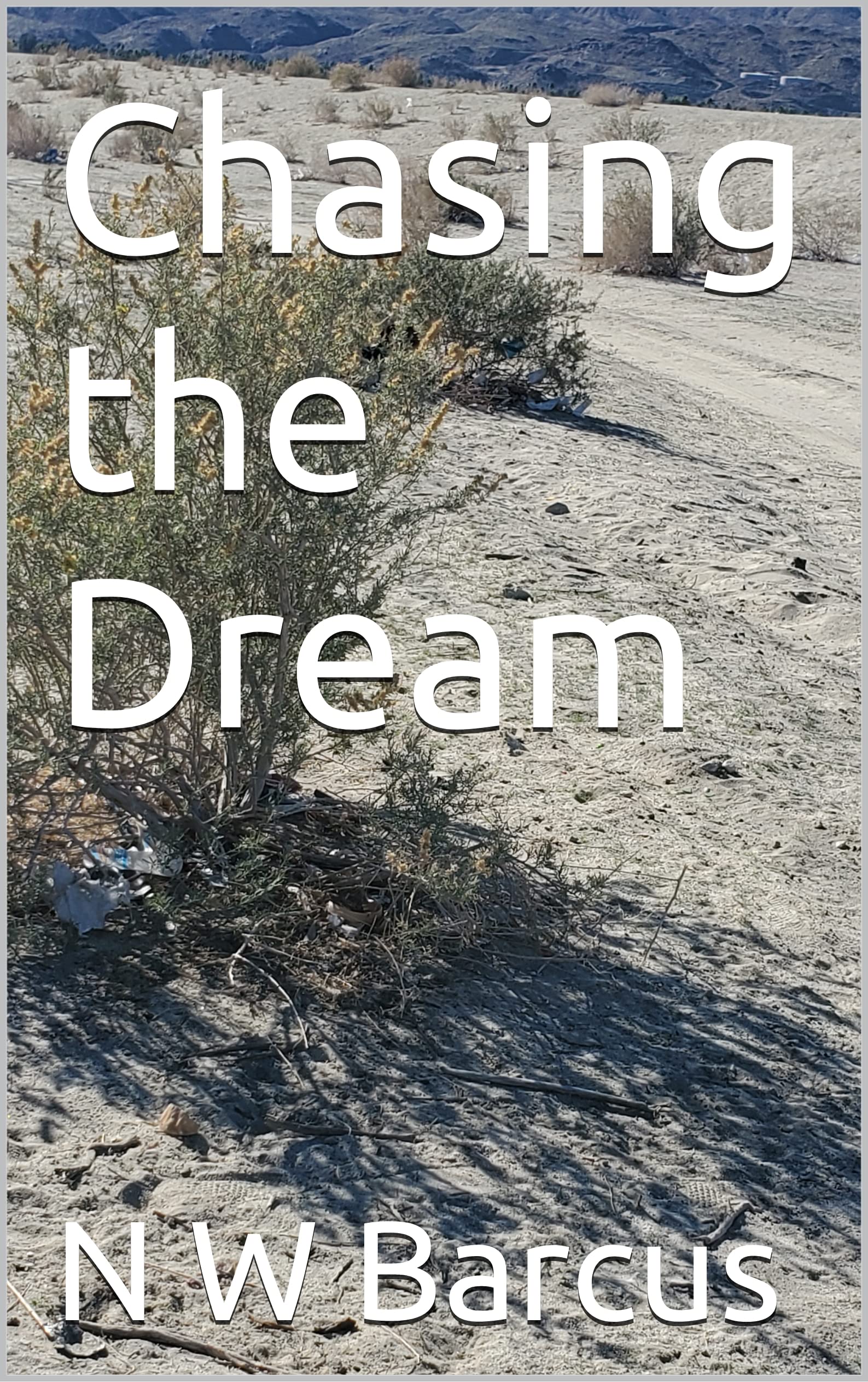 Chasing the Dream