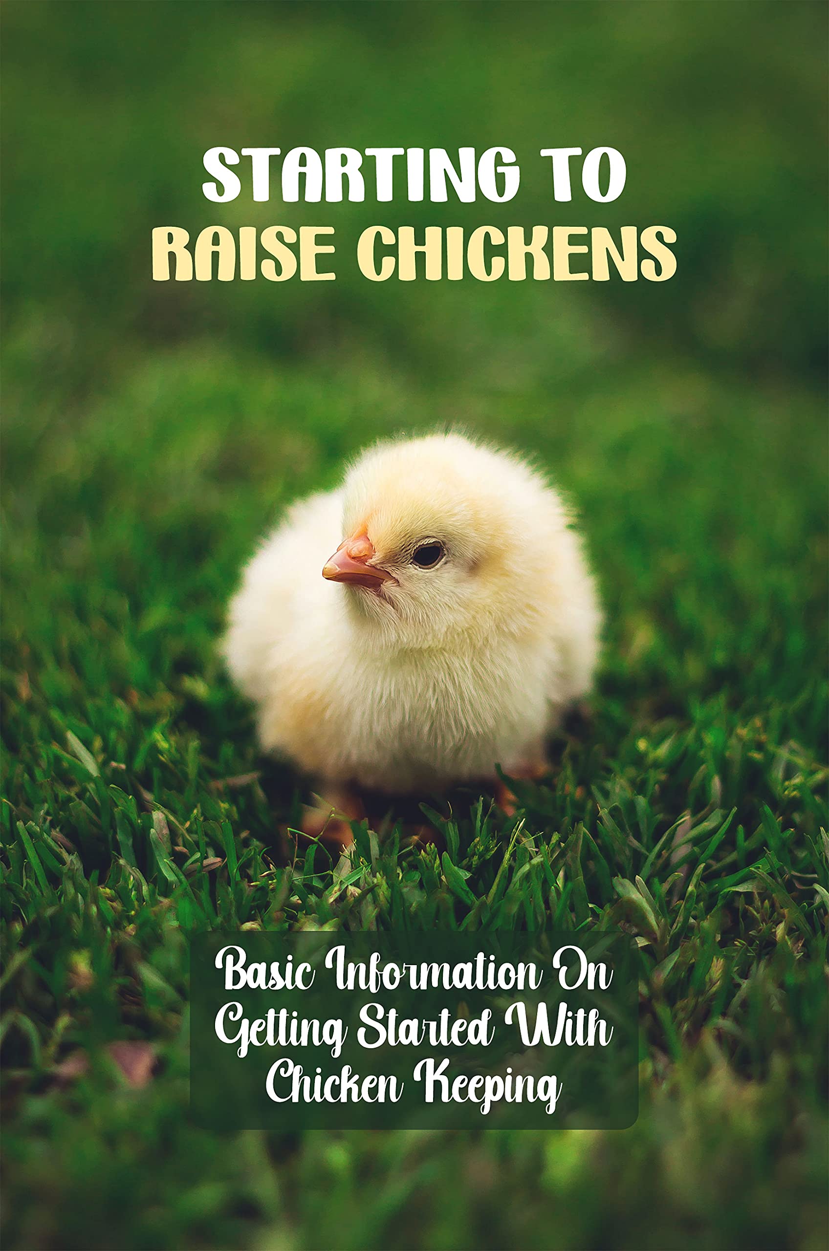 Starting To Raise Chickens Basic Information On Getting Started With Chicken Keeping How To