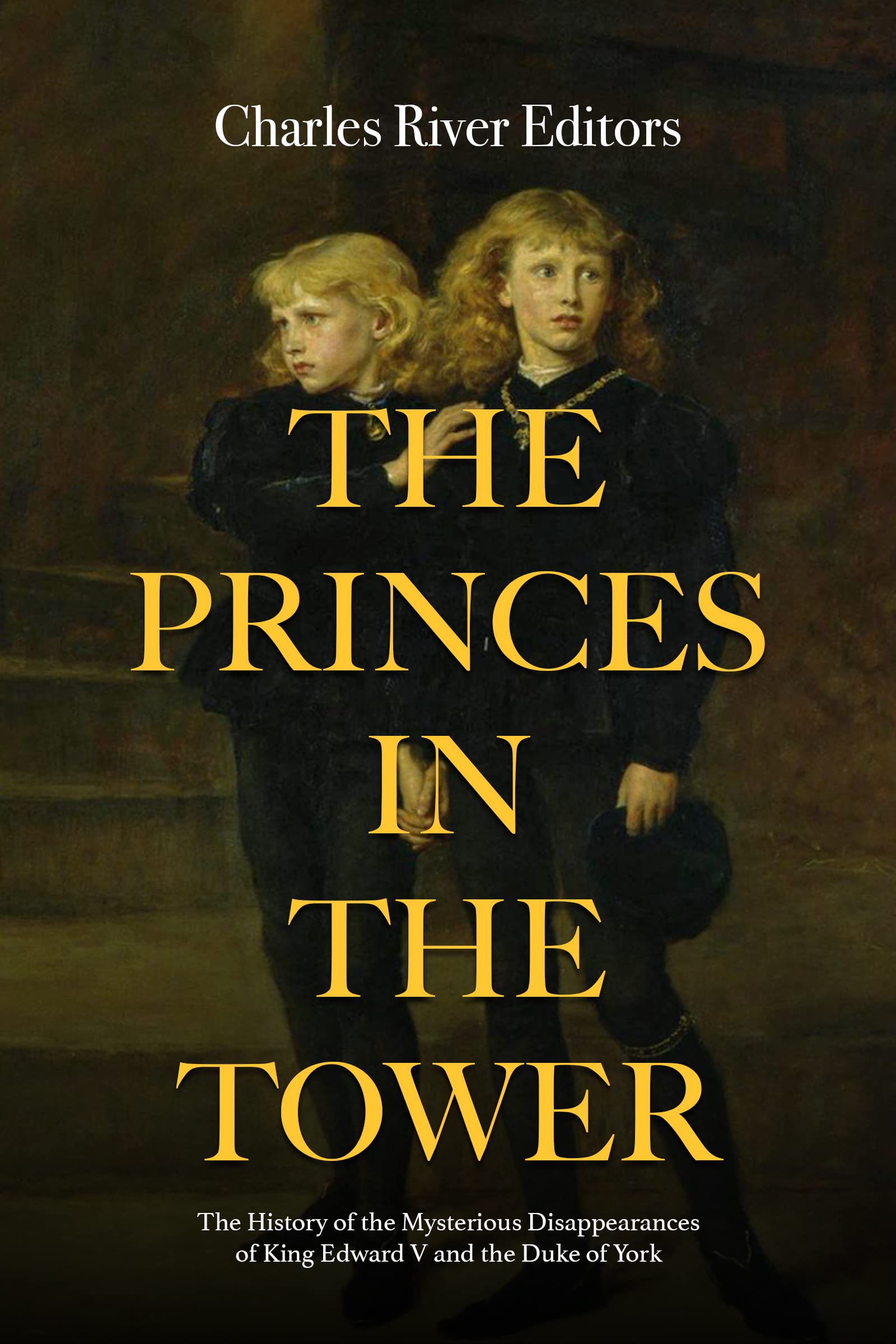 The Princes in the Tower book cover