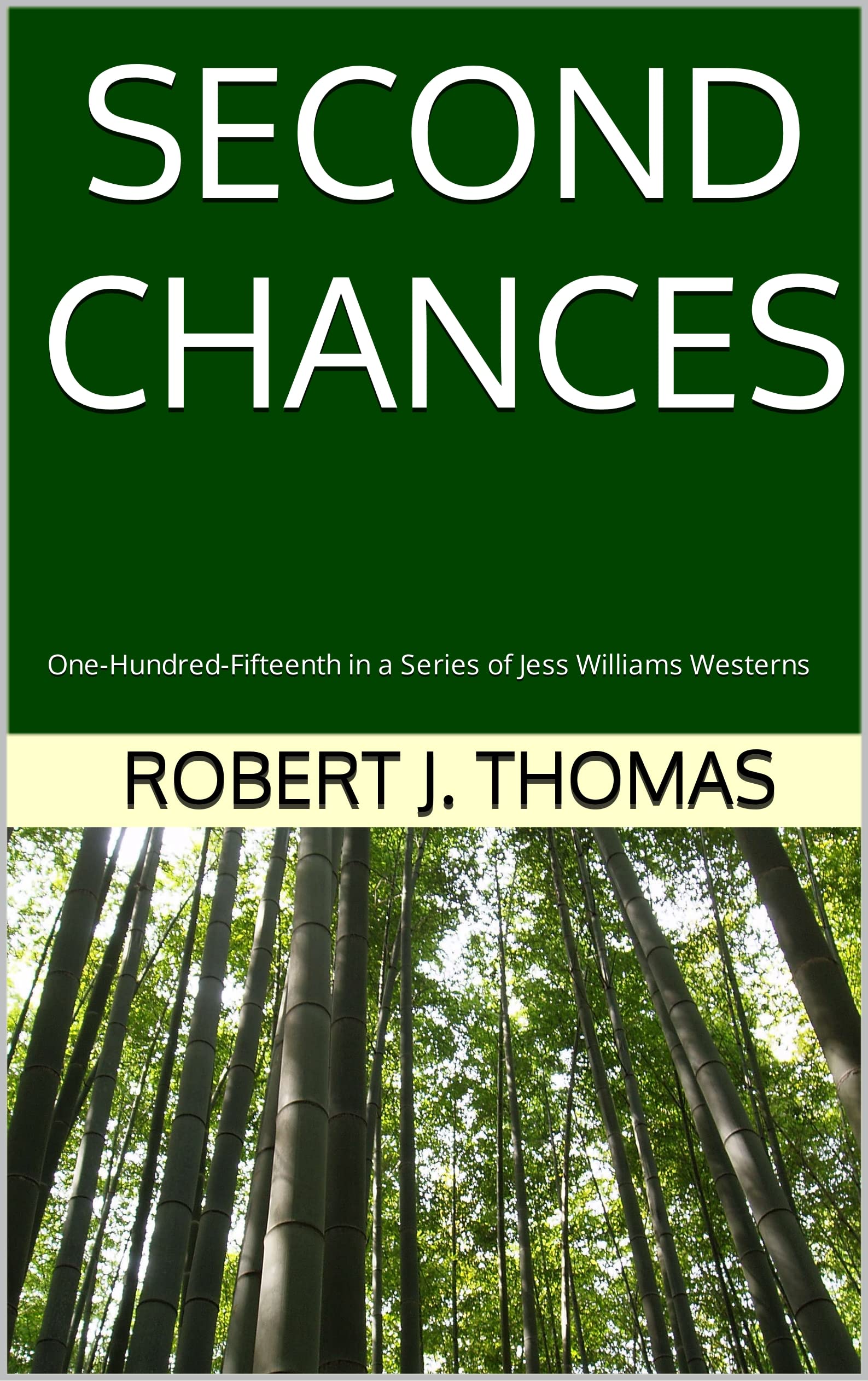 SECOND CHANCES book cover