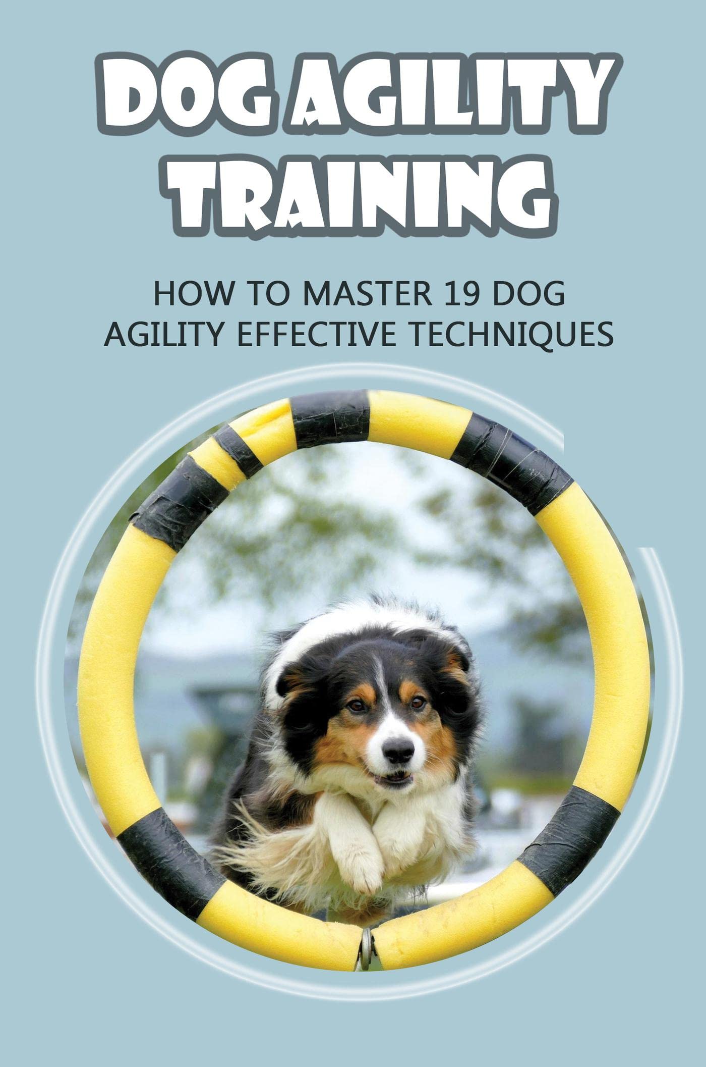 Dog Agility Training How To Master 19 Dog Agility Effective Techniques