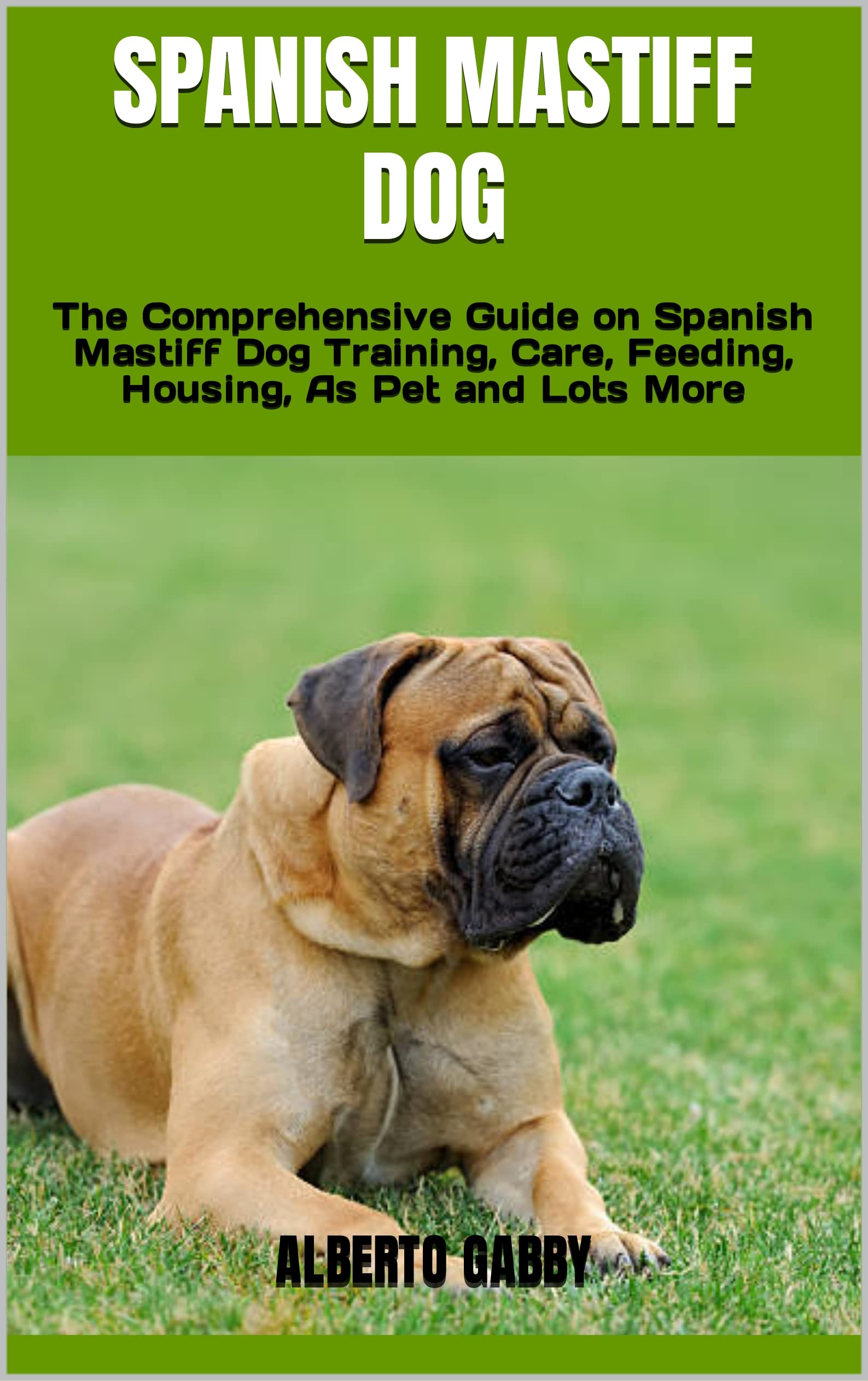 SPANISH MASTIFF DOG The Comprehensive Guide on Spanish Mastiff Dog