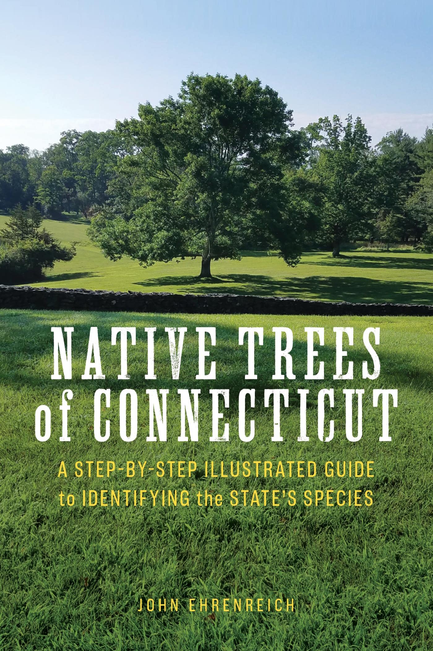 Native Trees of Connecticut A StepbyStep Illustrated Guide to