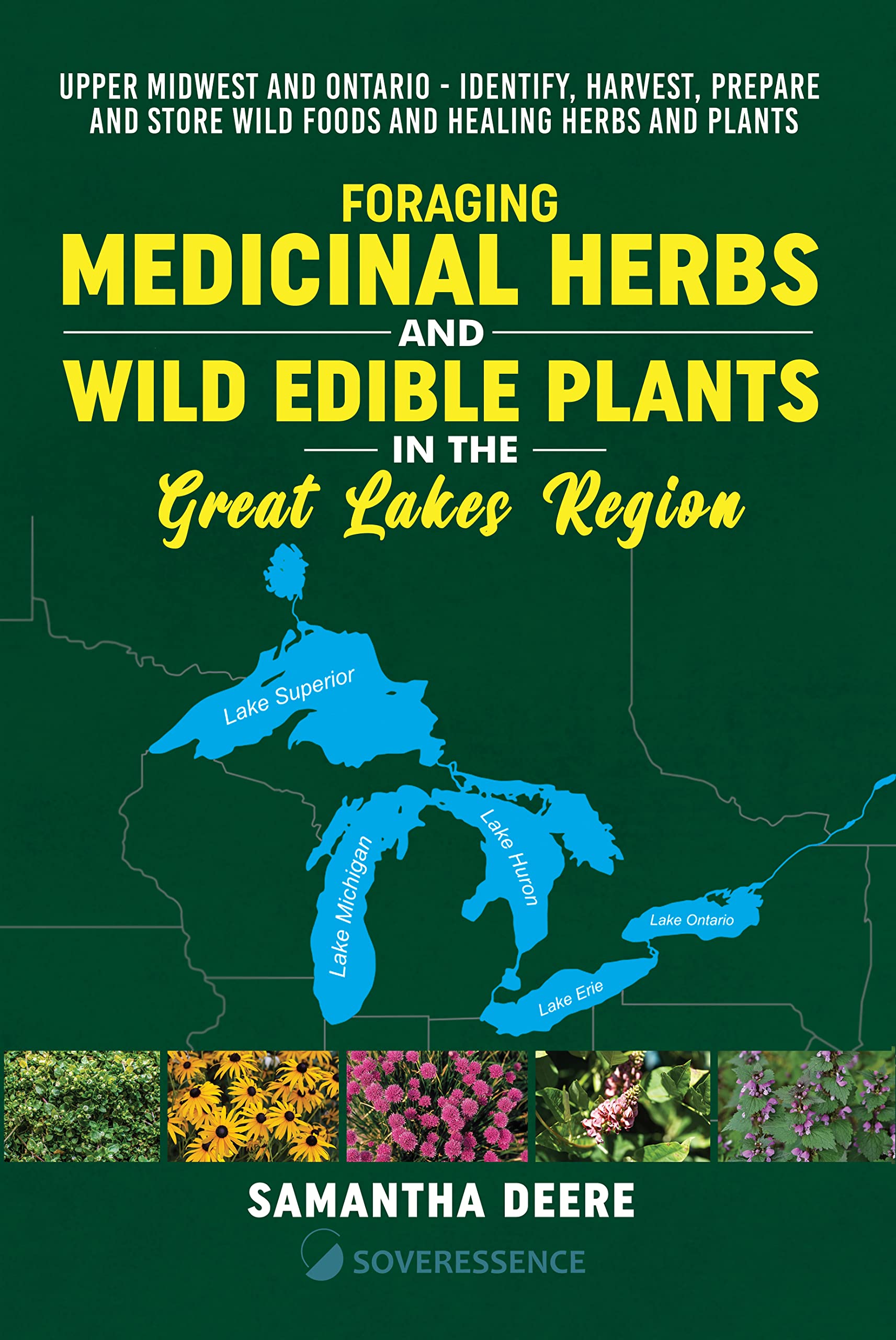 Foraging Medicinal Herbs and Wild Edible Plants in the Great Lakes Region Upper Midwest and