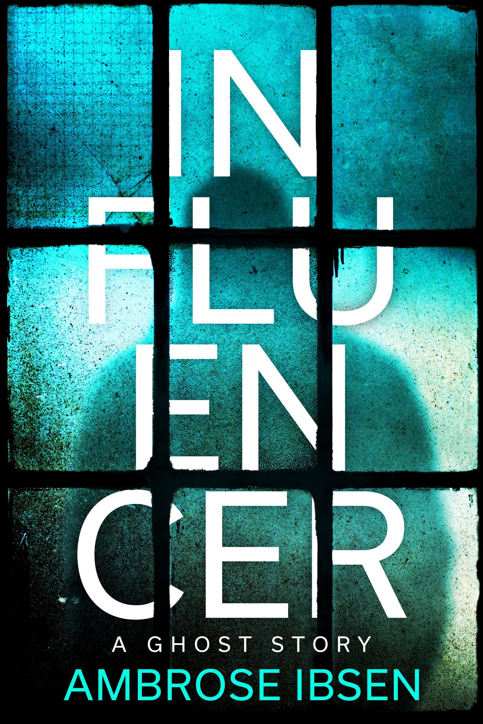 Influencer book cover