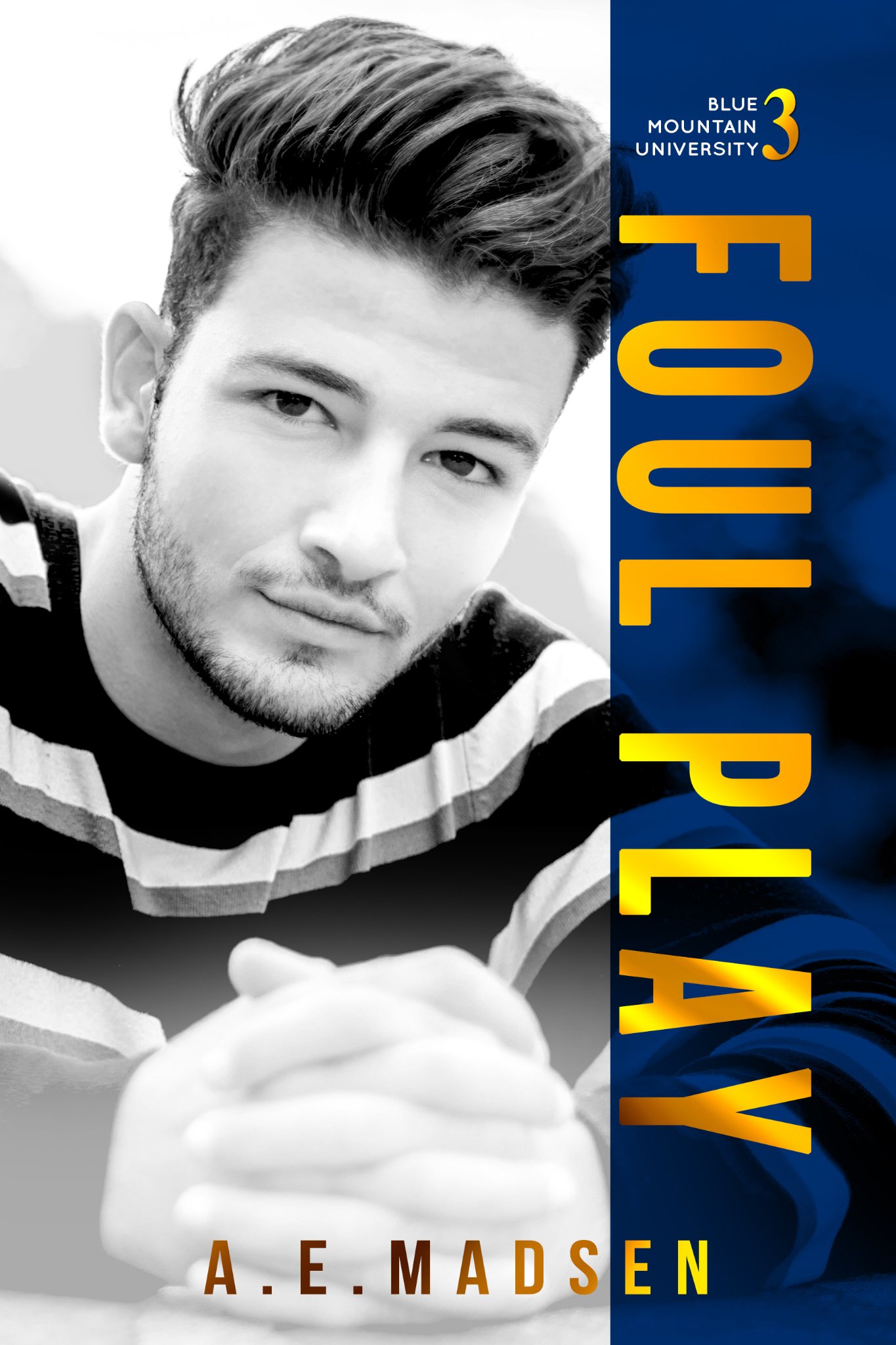 Blue Mountain University book cover 3