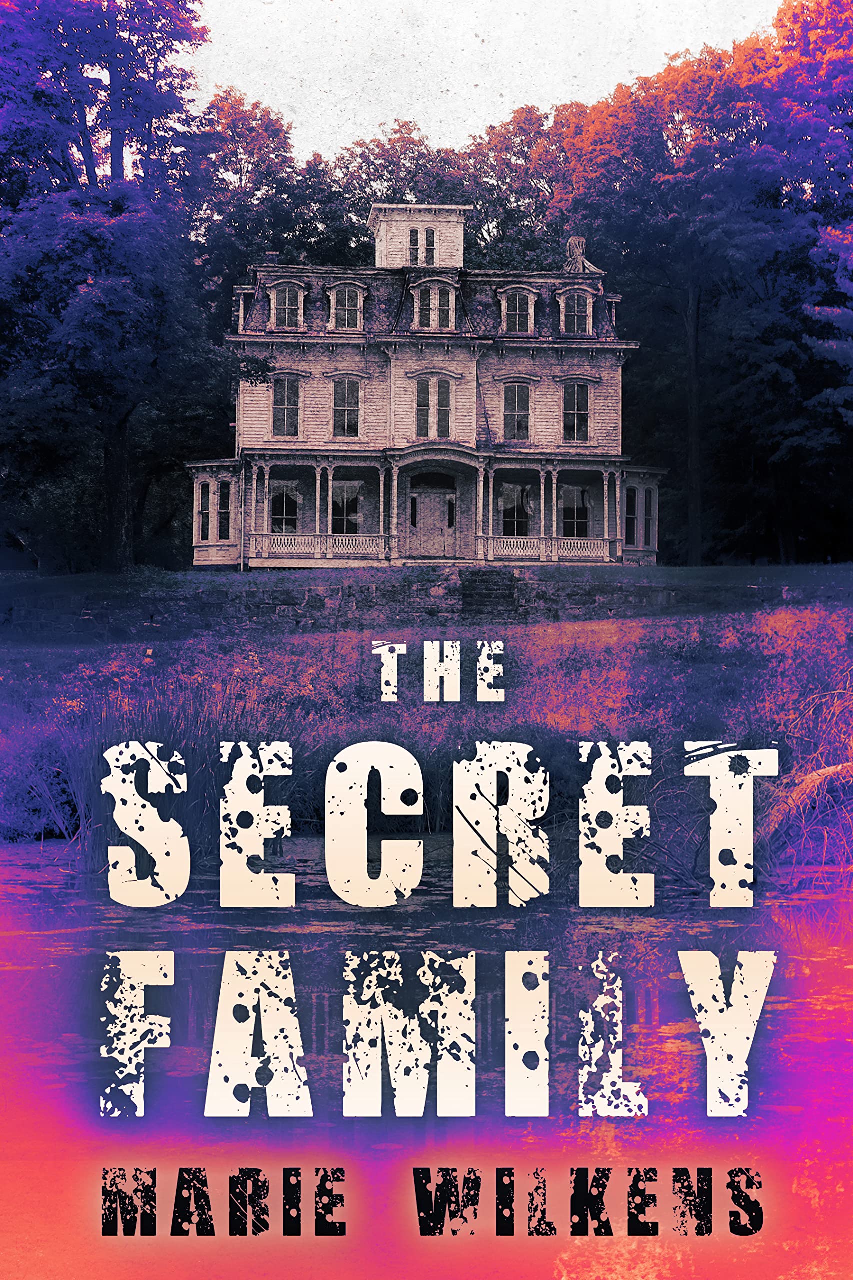 The Secret Family book cover
