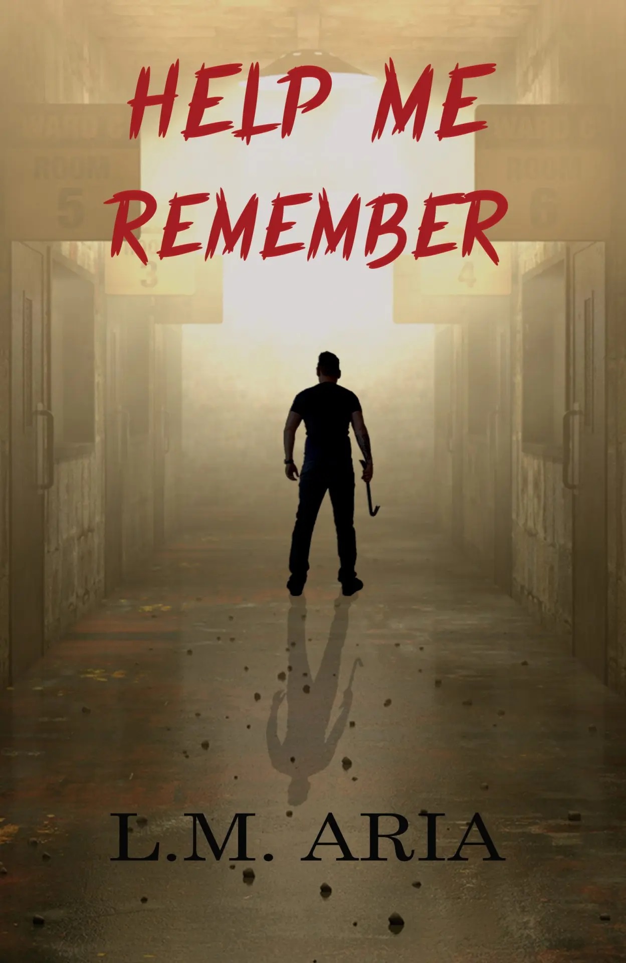 Help Me Remember by L.M. Aria | Goodreads