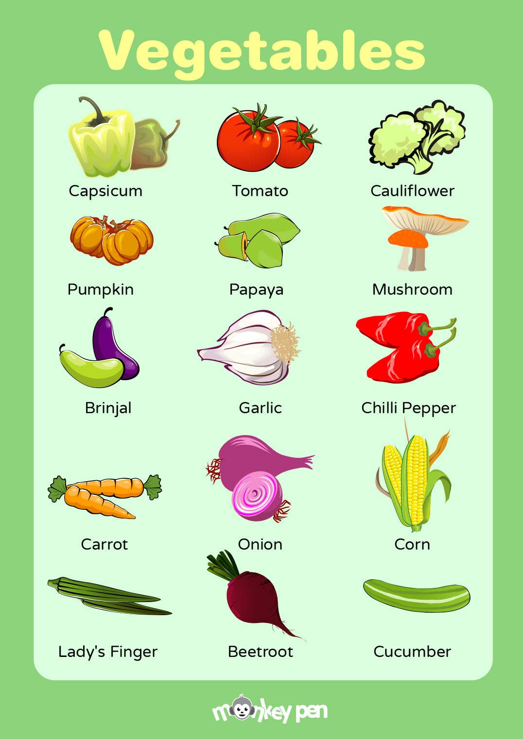 VEGETABLE CHART FOR KIDS VEGETABLE EDUCATIONAL POSTER By Imakhu