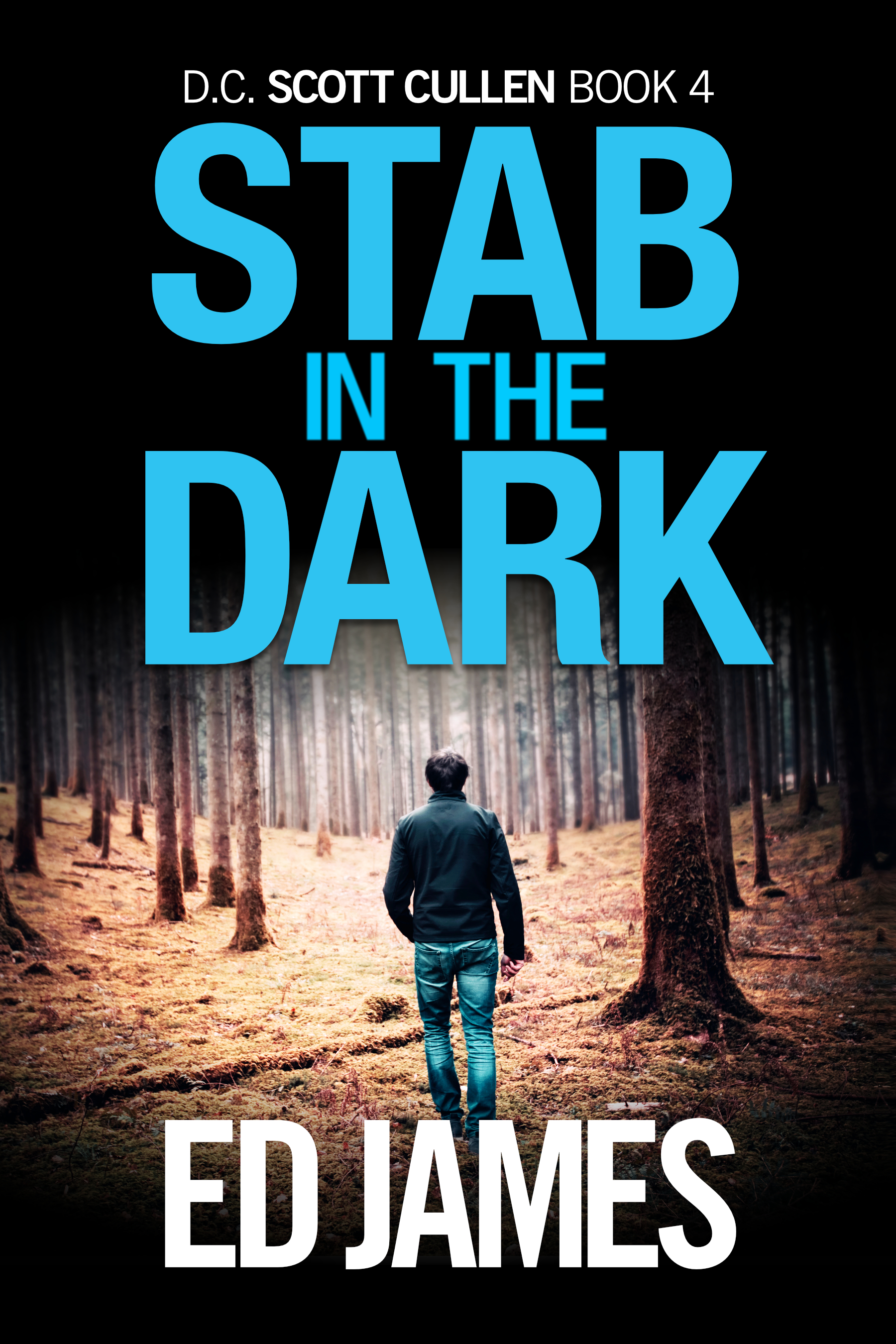 Stab In The Dark book cover