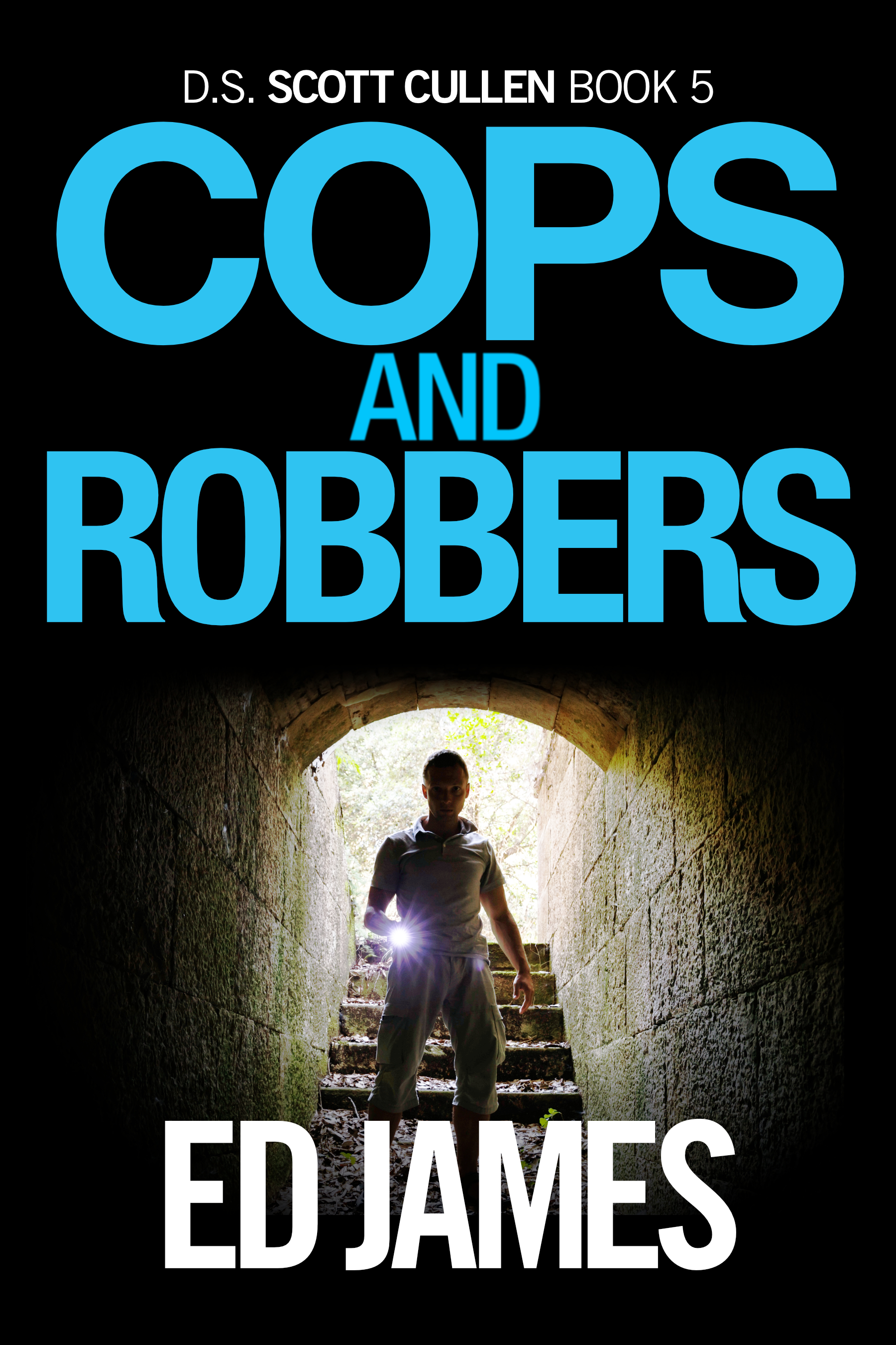 Cops and Robbers book cover