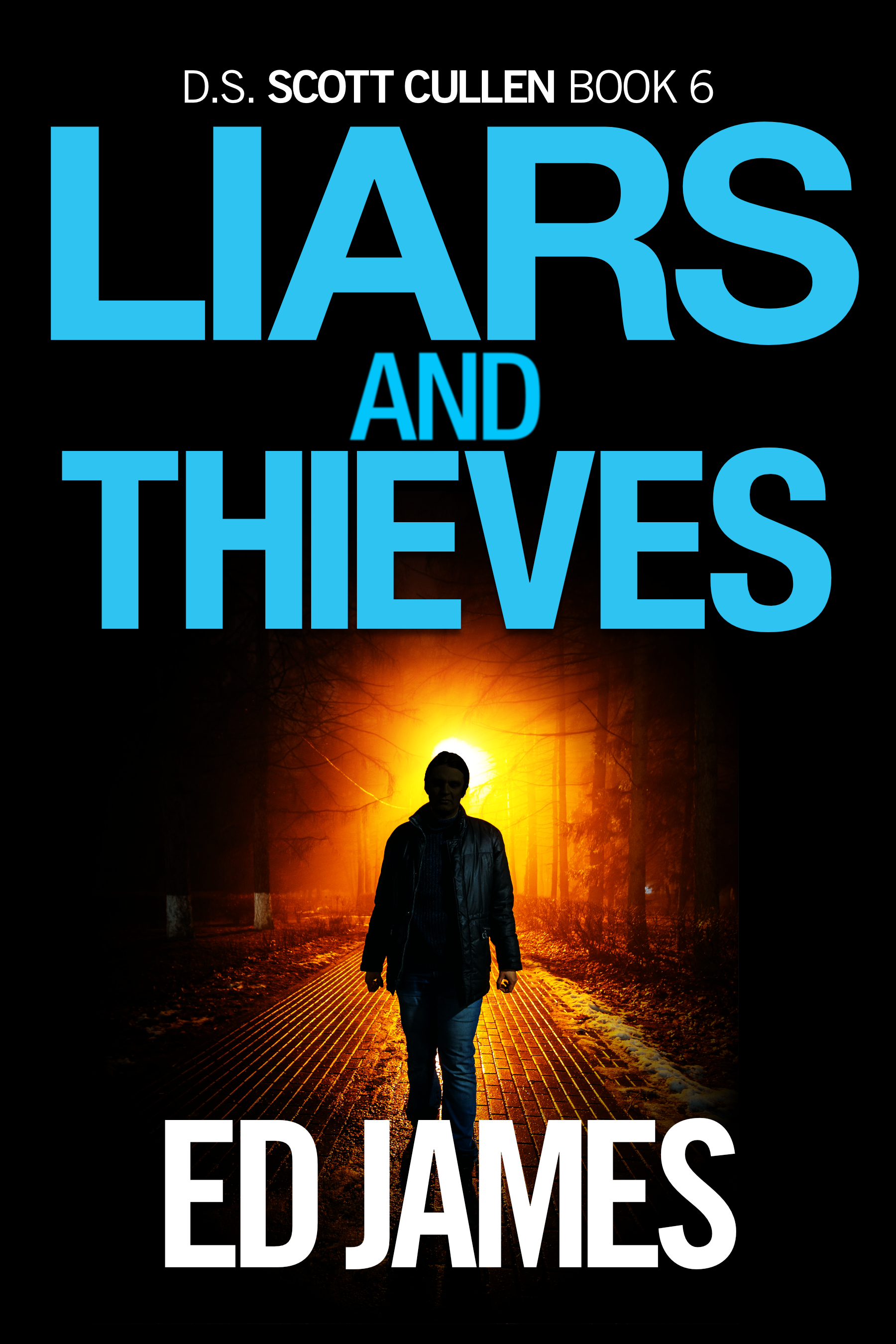 Liars and Thieves book cover