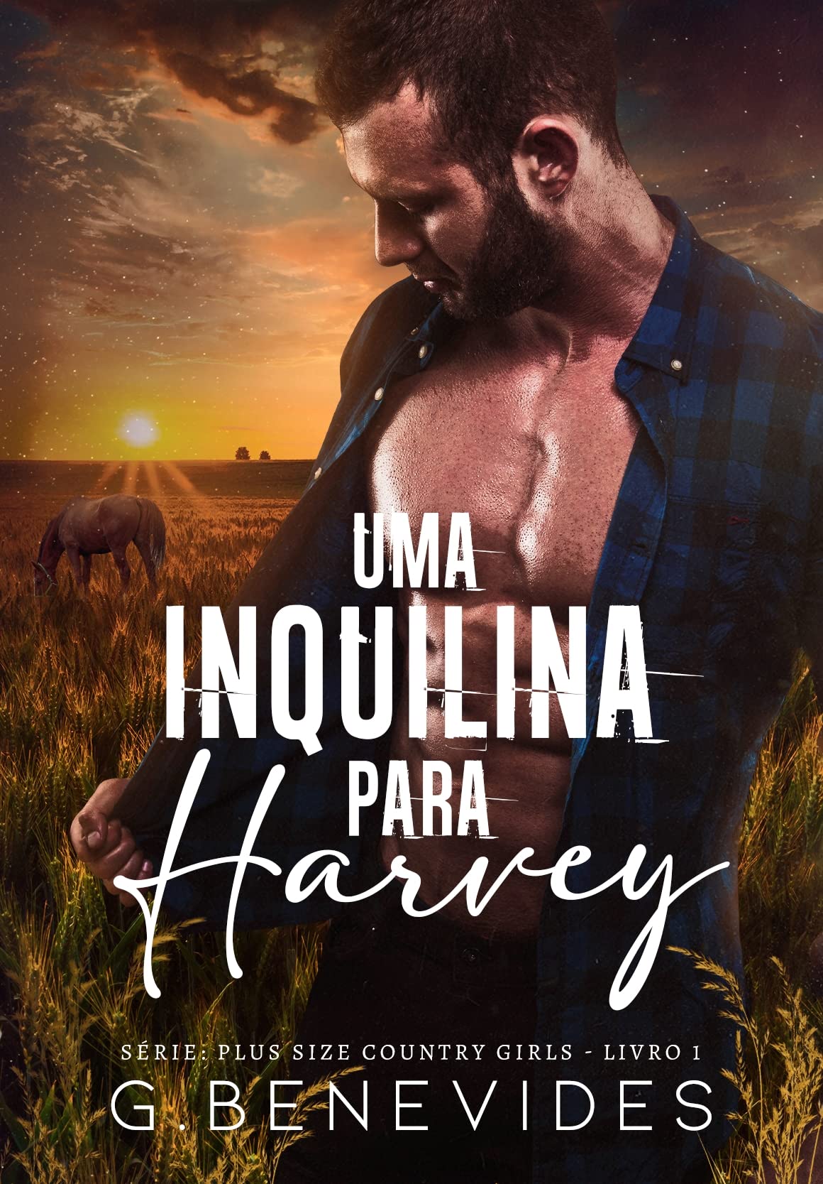 Uma Inquilina para Harvey (Plus size country girls, #1)