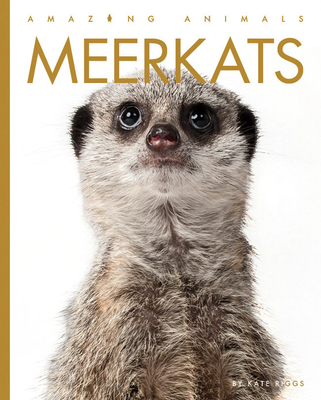 Meerkats book cover