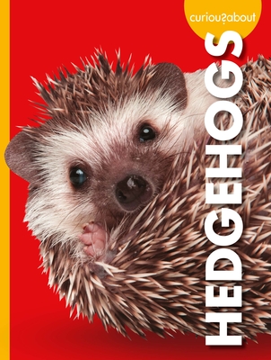 Curious About book cover 3