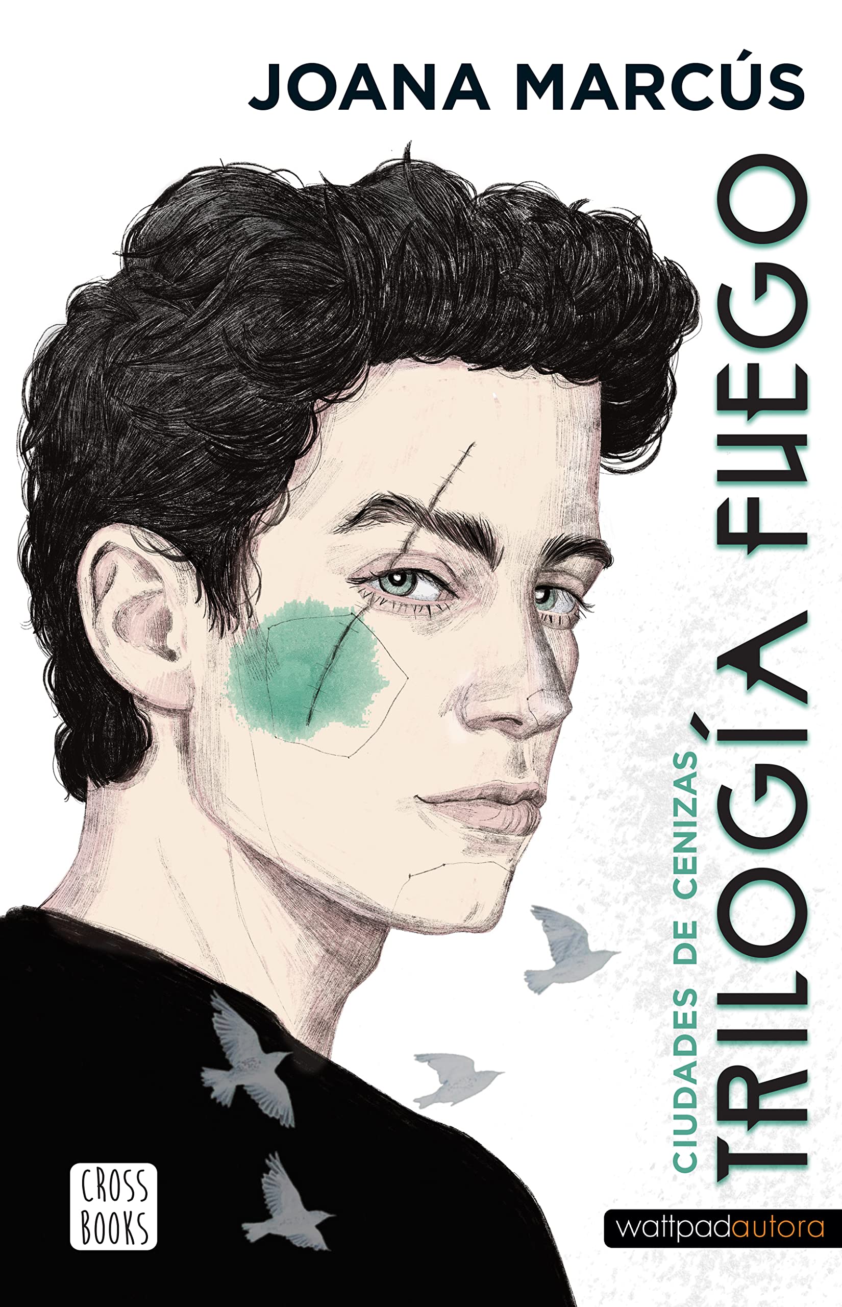 Trilogía Fuego book cover 3