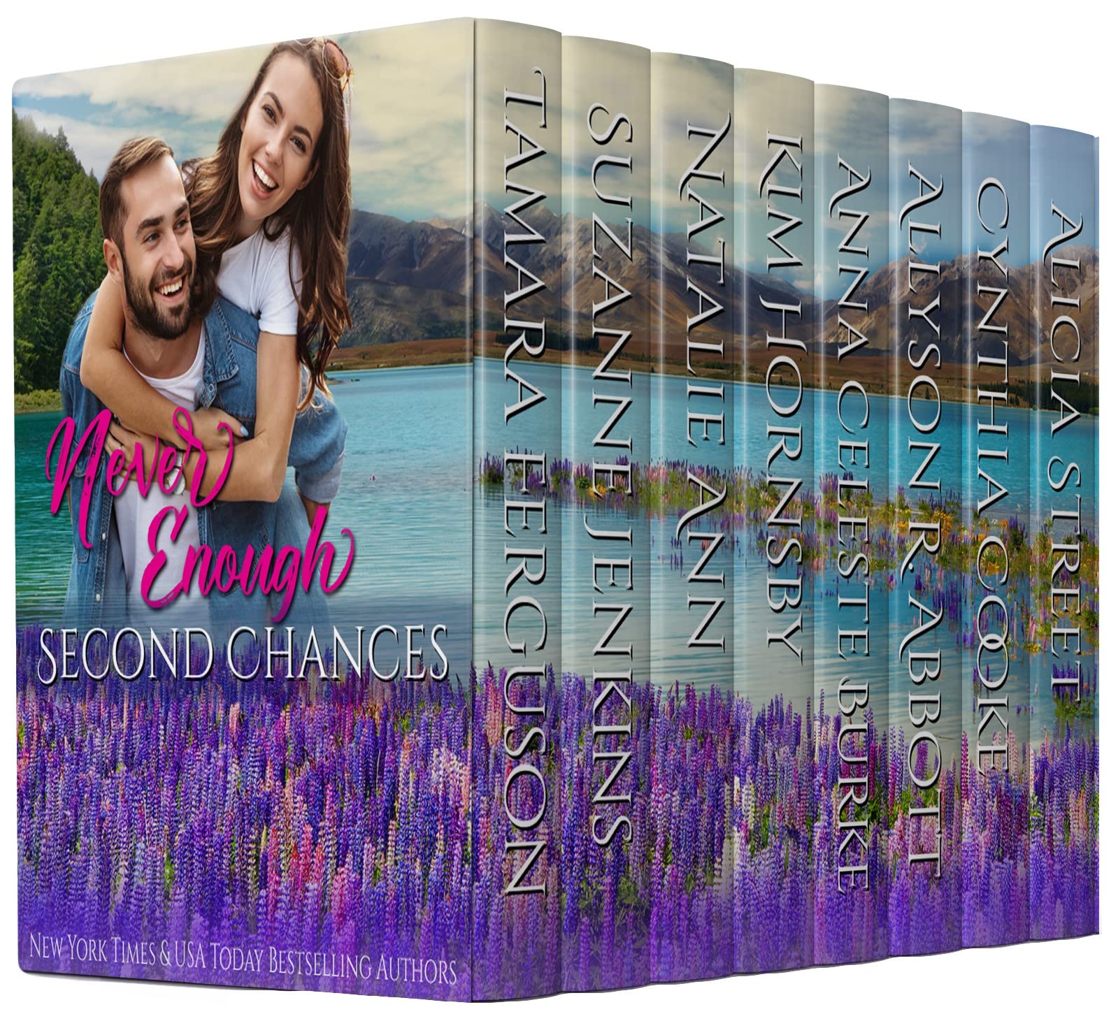 Never Enough Second Chances book cover