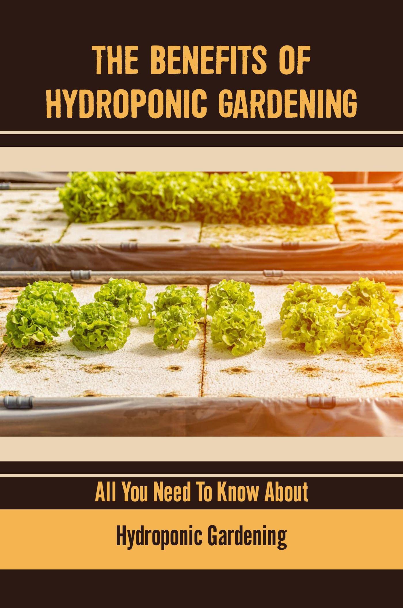 15+ Benefits Of Hydroponic Gardening The Benefits Of Hydroponic Gardening: All You Need To Know About