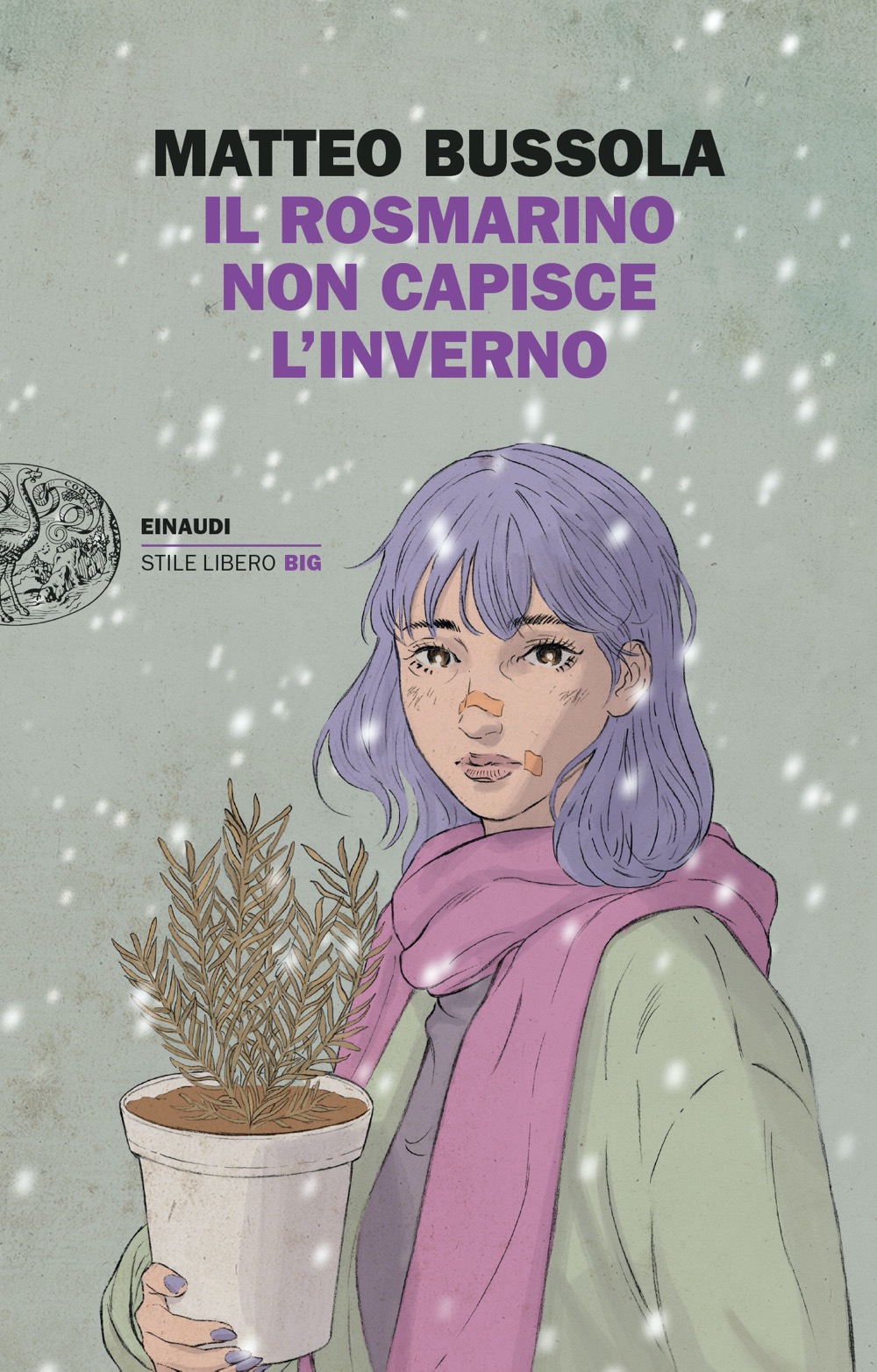 Il rosmarino non capisce l'inverno book cover