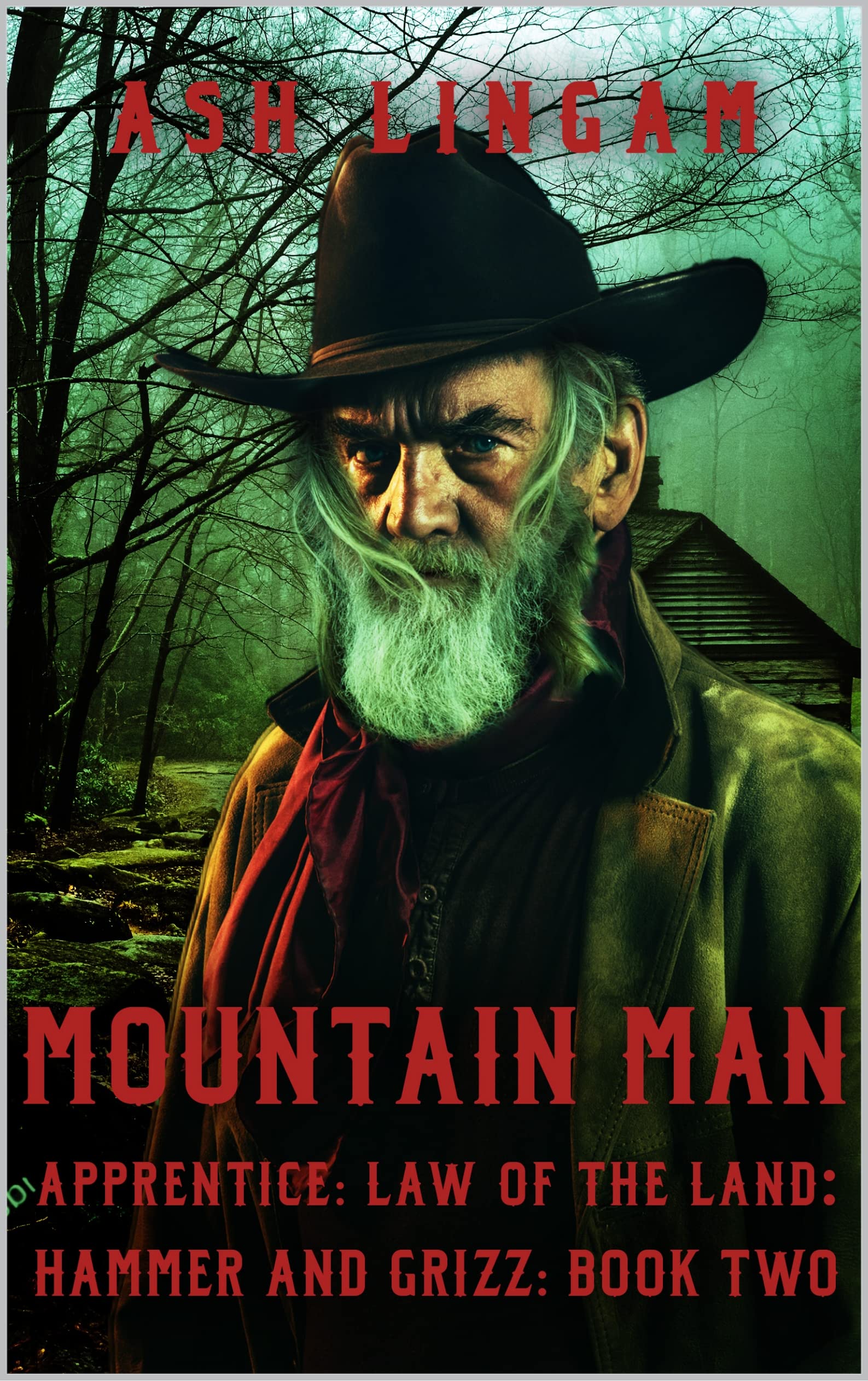 Mountain Man Apprentice book cover