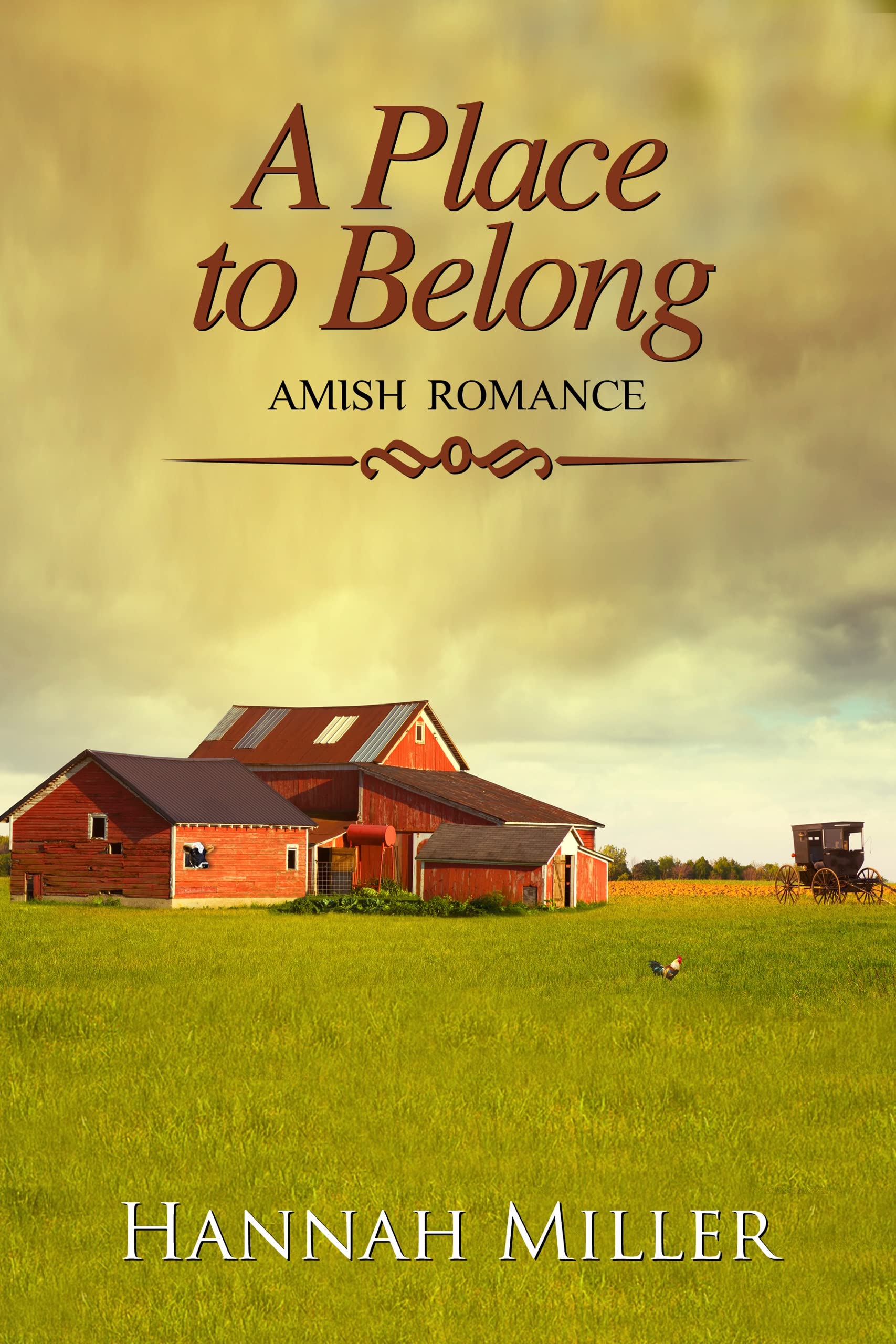 A Place to Belong