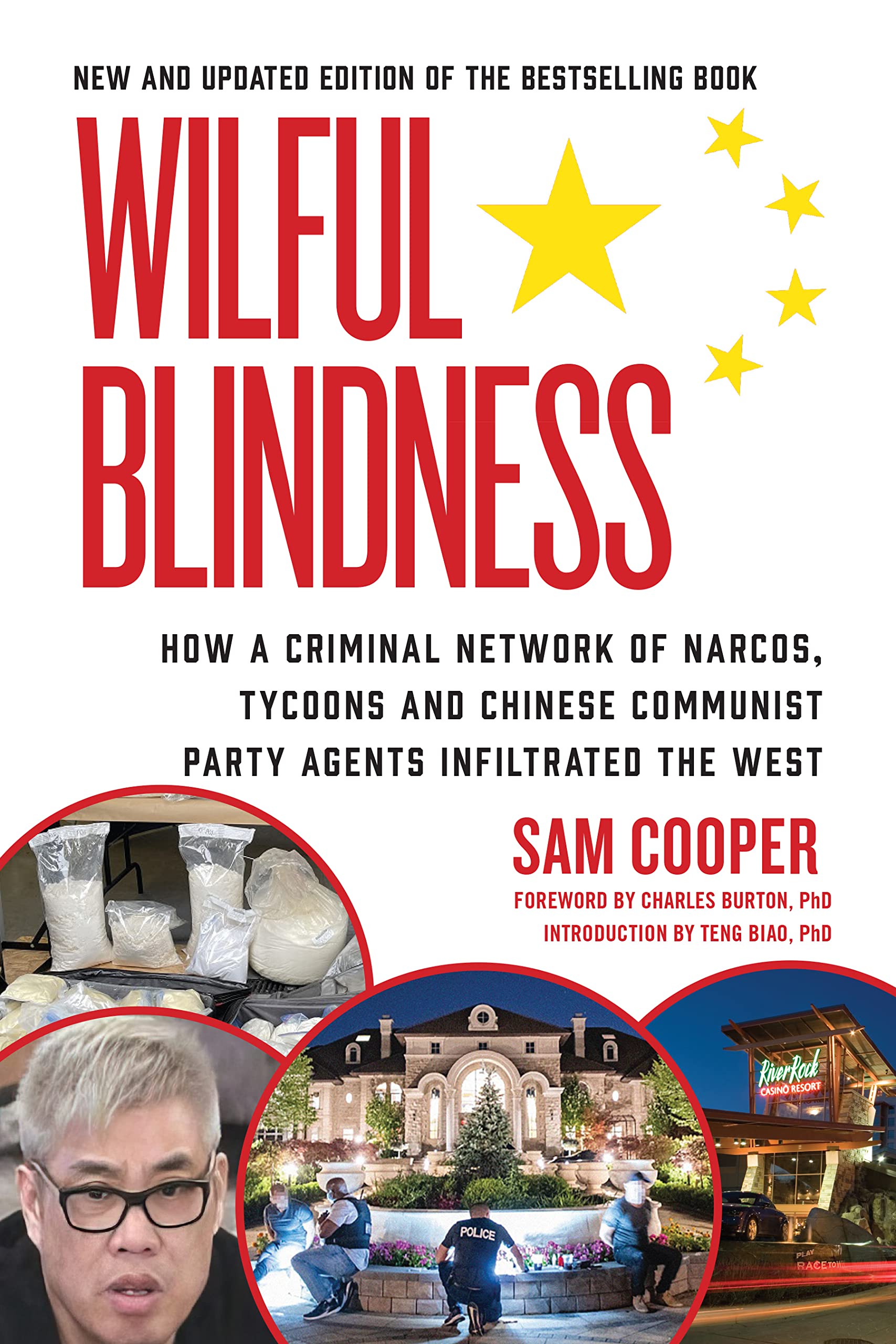 Wilful Blindness: Election Interference | Elite and State Capture