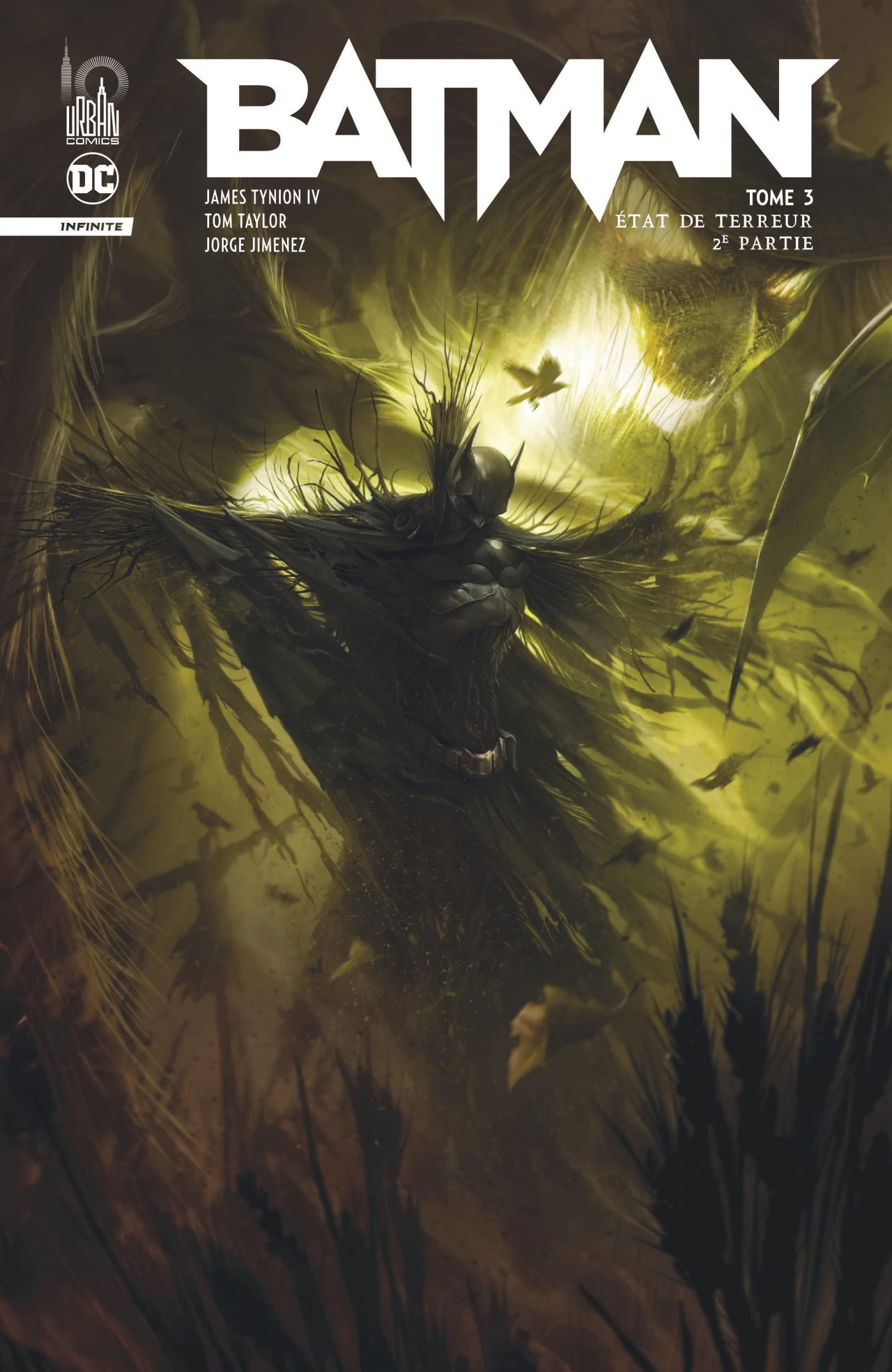 Batman Infinite book cover 1
