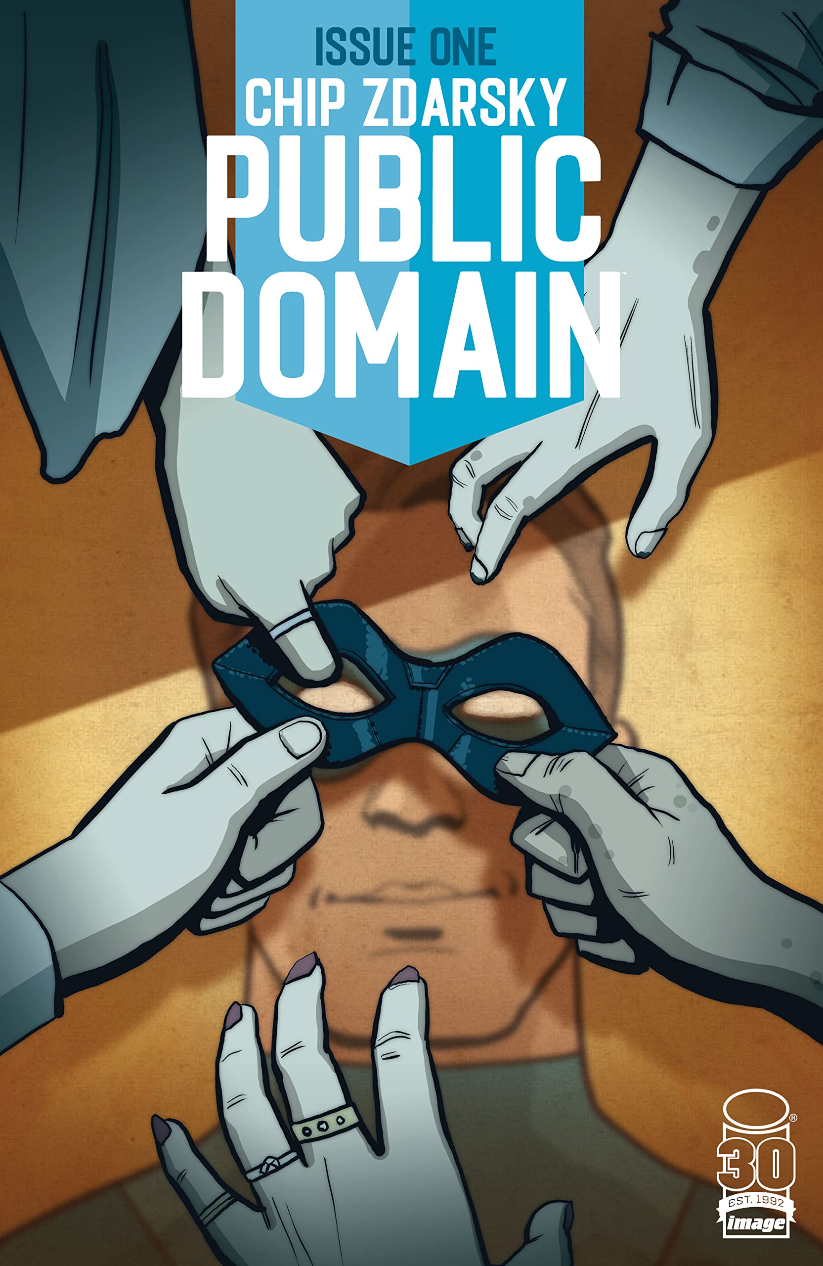 Public Domain #1 book cover
