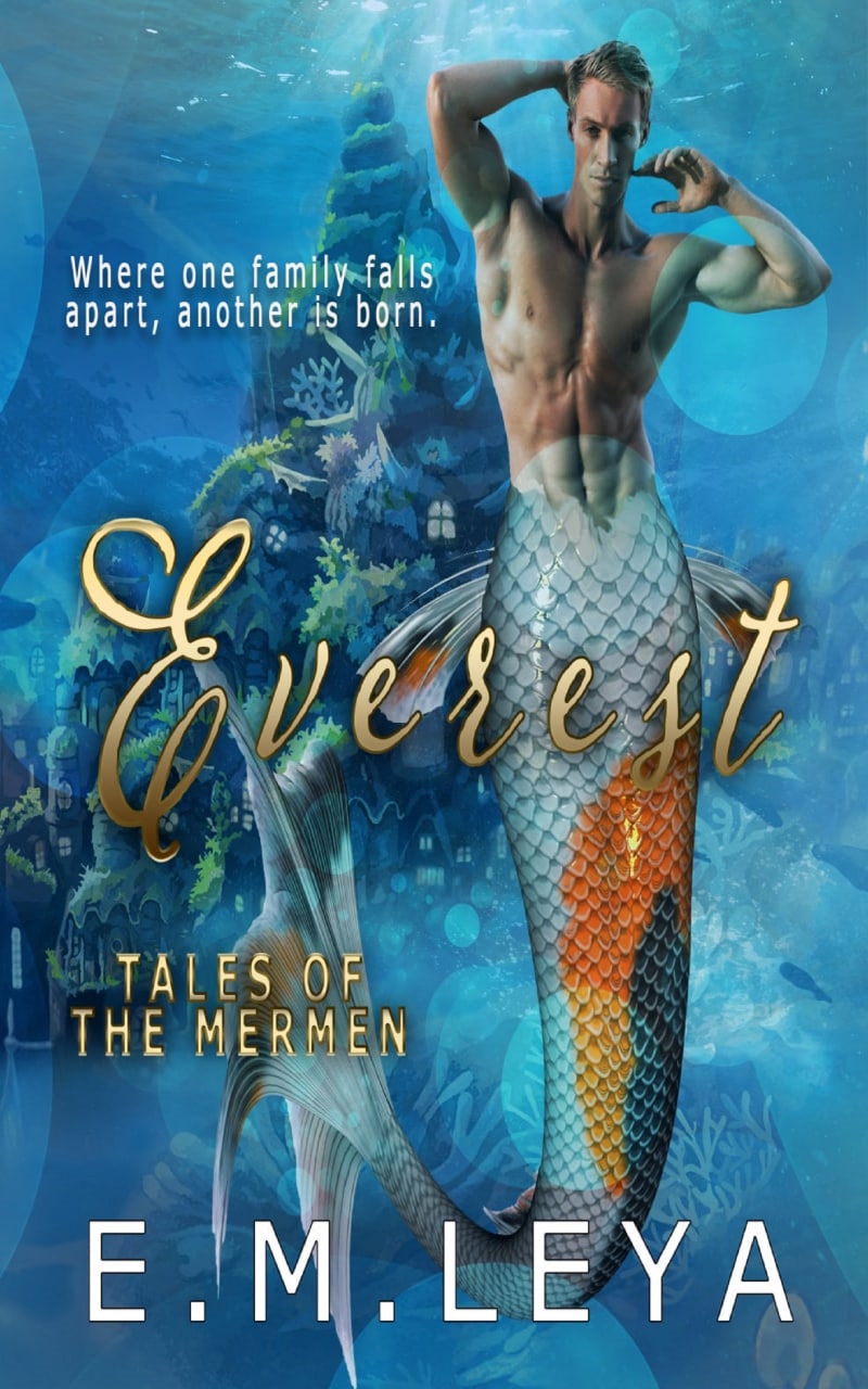 Everest book cover