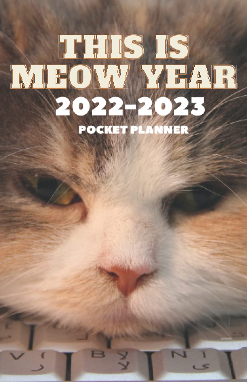 2 Year Pocket Calendar 2022 2023 Cats 2 Year Planner 2022 2023 Pocket 