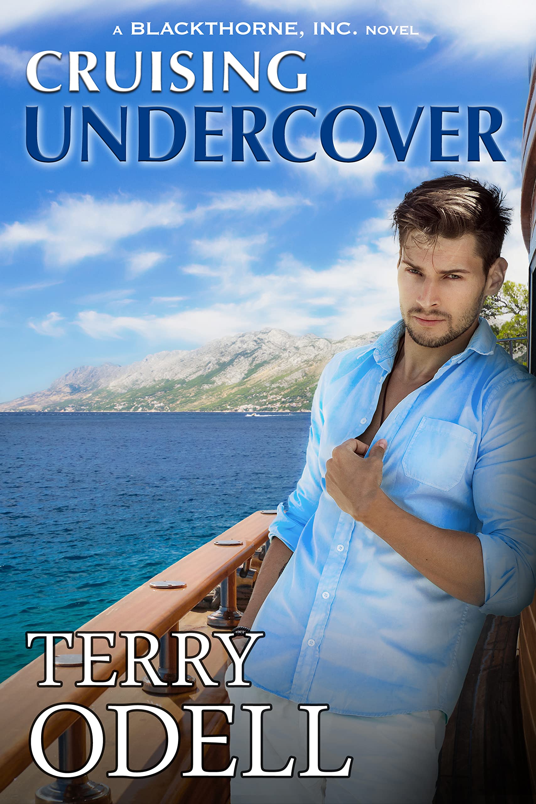 Cruising Undercover book cover