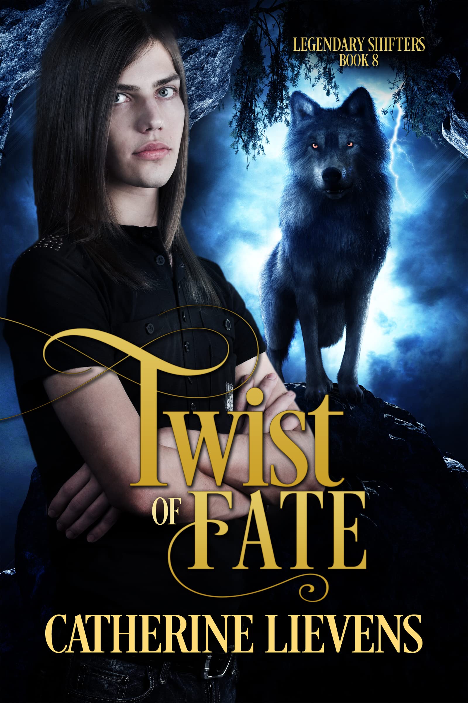 Twist of Fate book cover