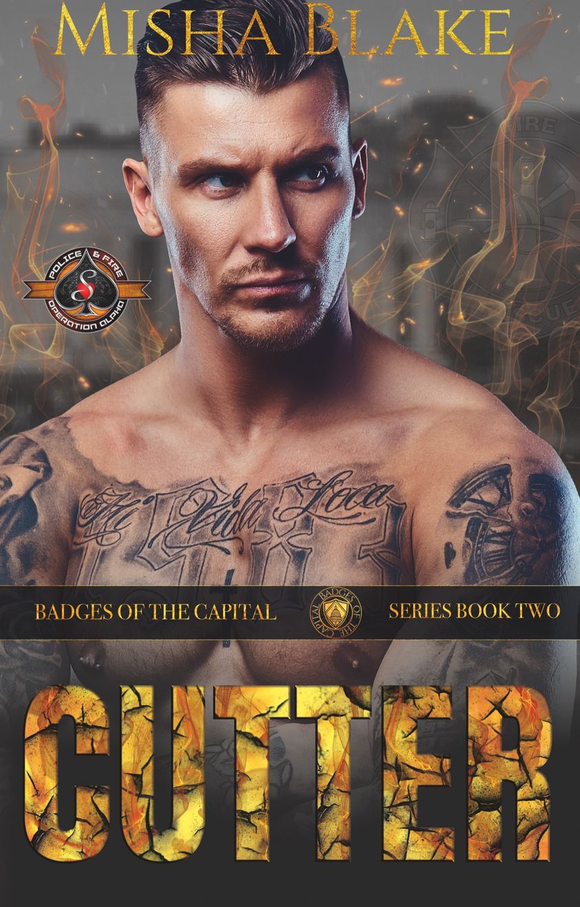 Badges of the Capital book cover 2