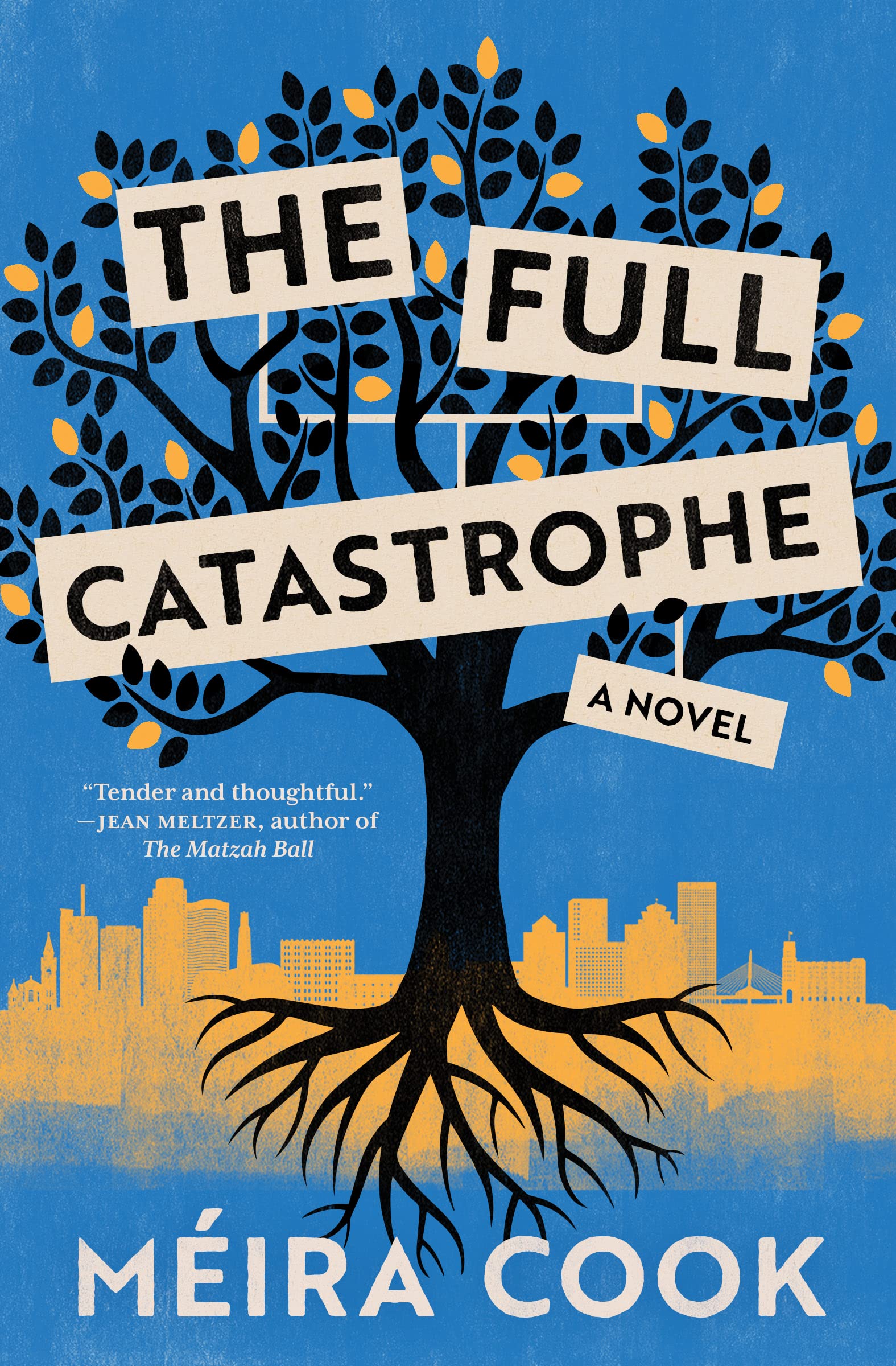 The Full Catastrophe A Novel by Méira Cook Goodreads