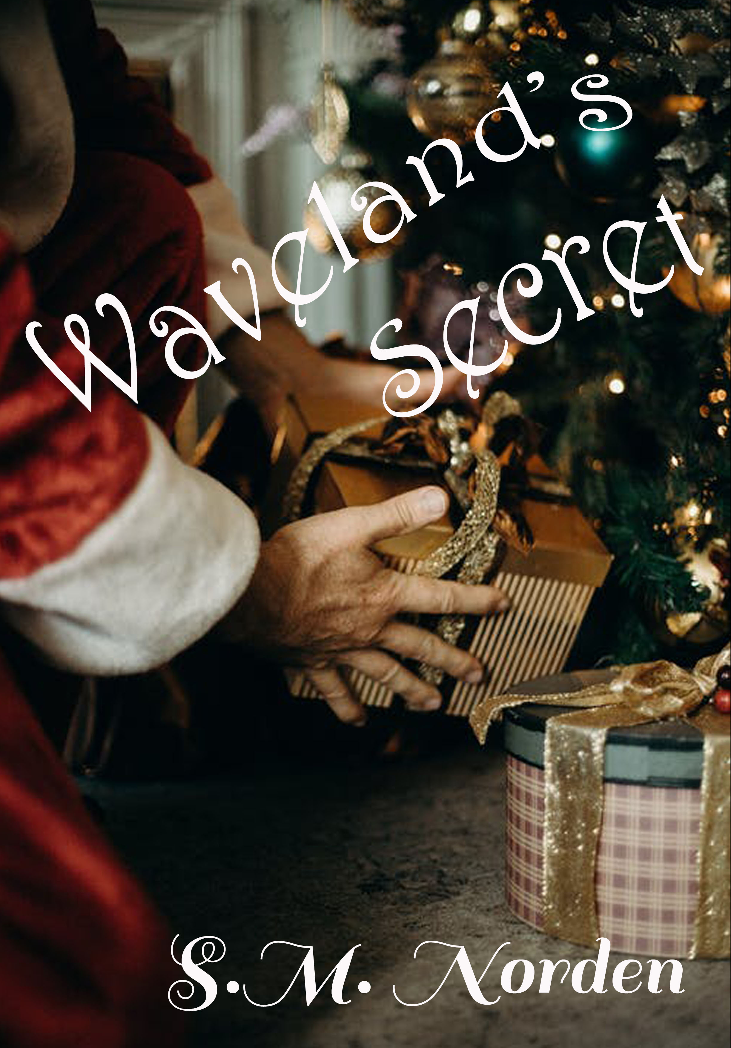 Waveland's Surprising Secret by S.M. Norden Goodreads