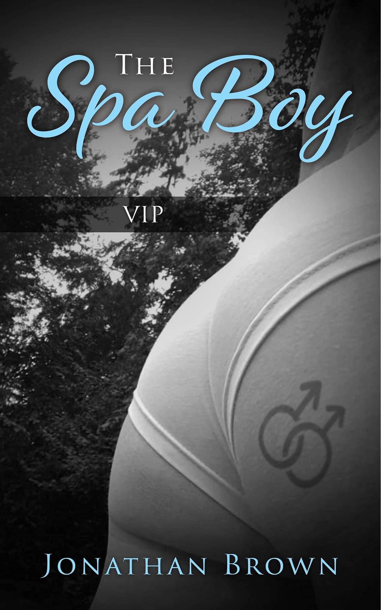 The Spa Boy VIP (The Spa Boy's Book 7) by Jonathan Brown Goodreads