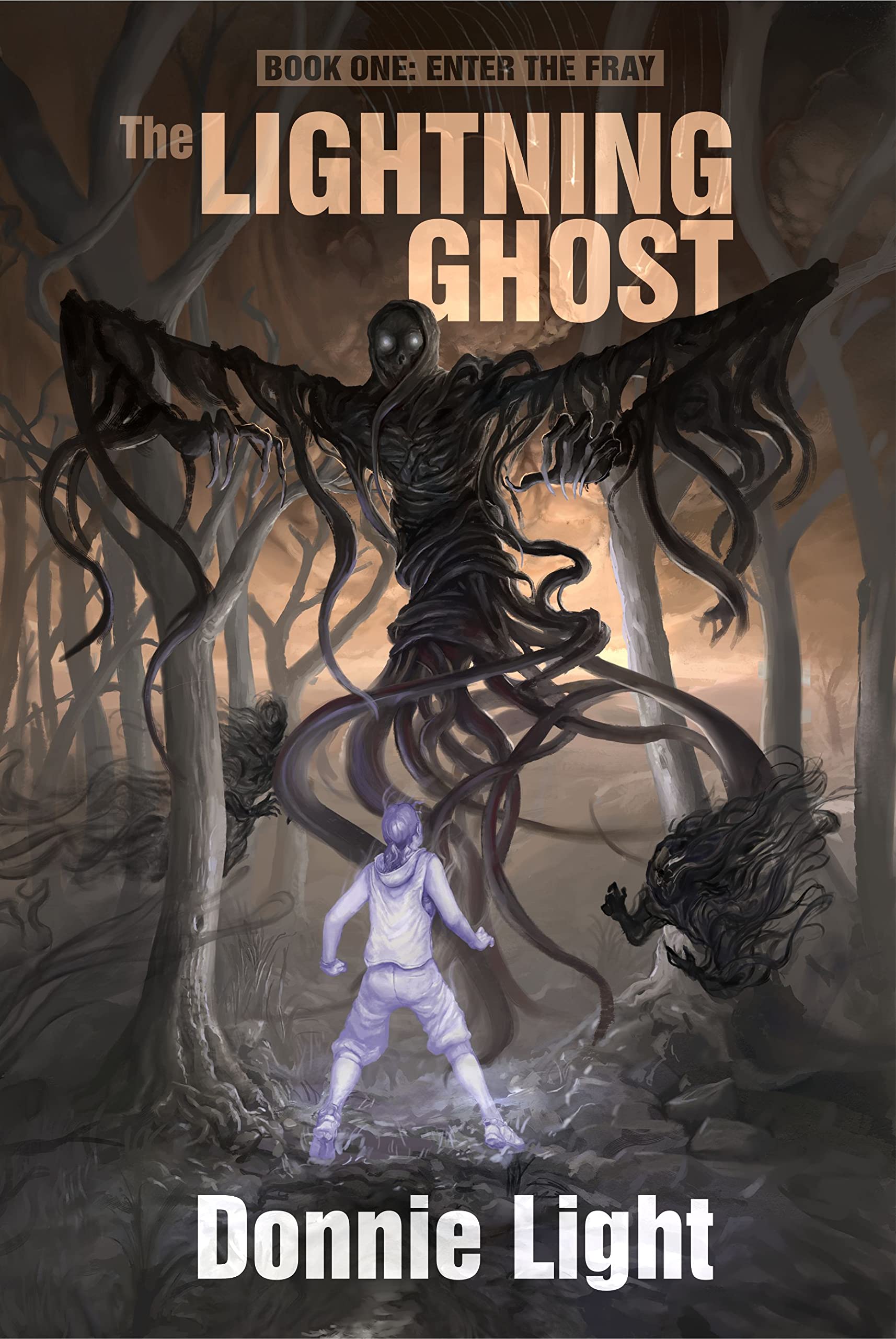 The Lightning Ghost: Enter The Fray by Donnie Light | Goodreads
