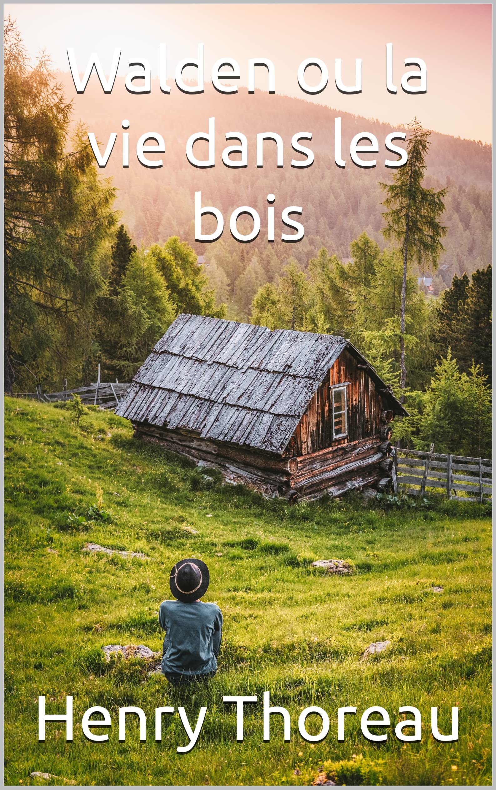 Walden ou la vie dans les bois illustré by Henry David Thoreau Goodreads
