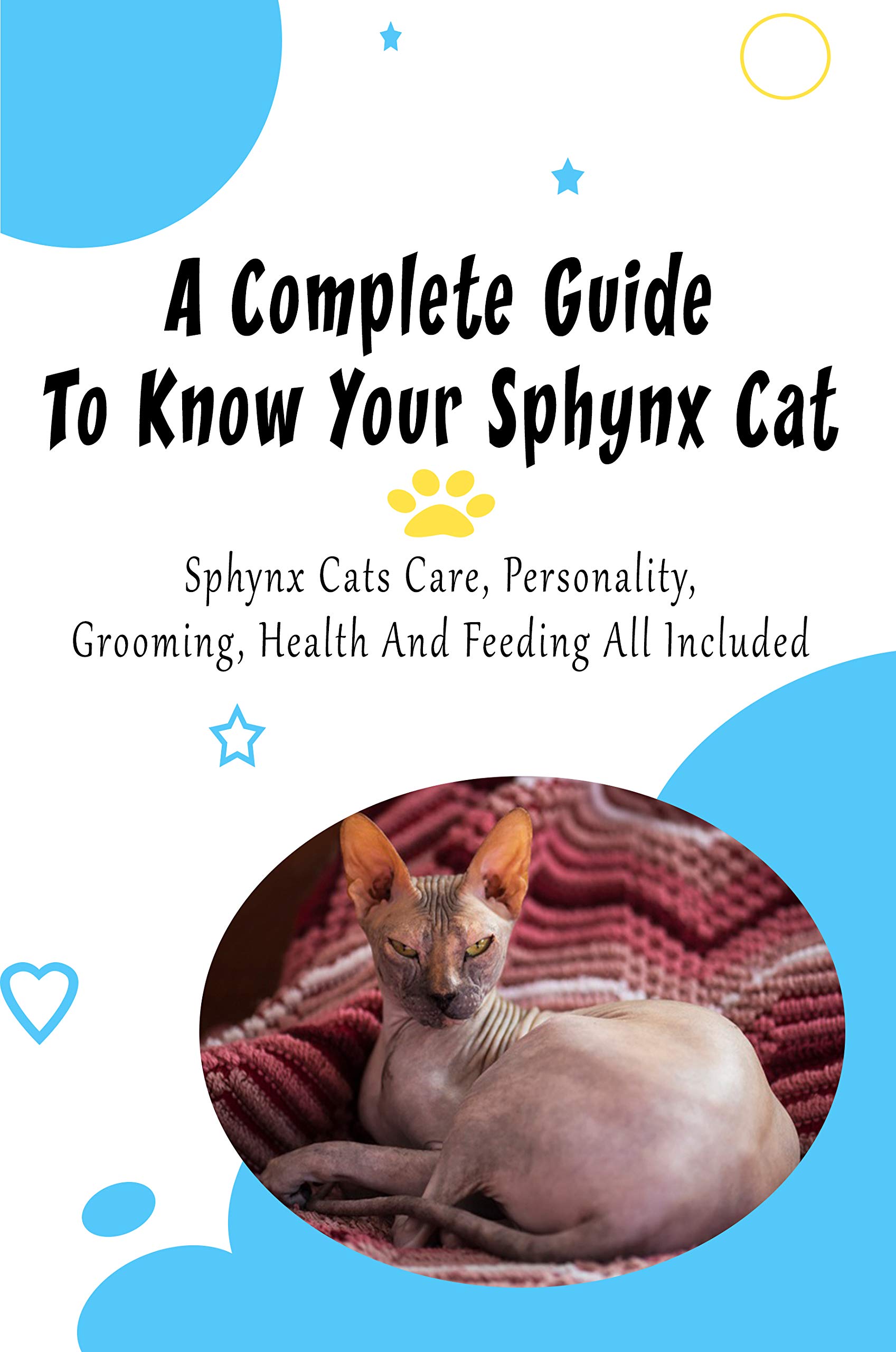A Complete Guide To Know Your Sphynx Cat_ Sphynx Cats Care, Personality