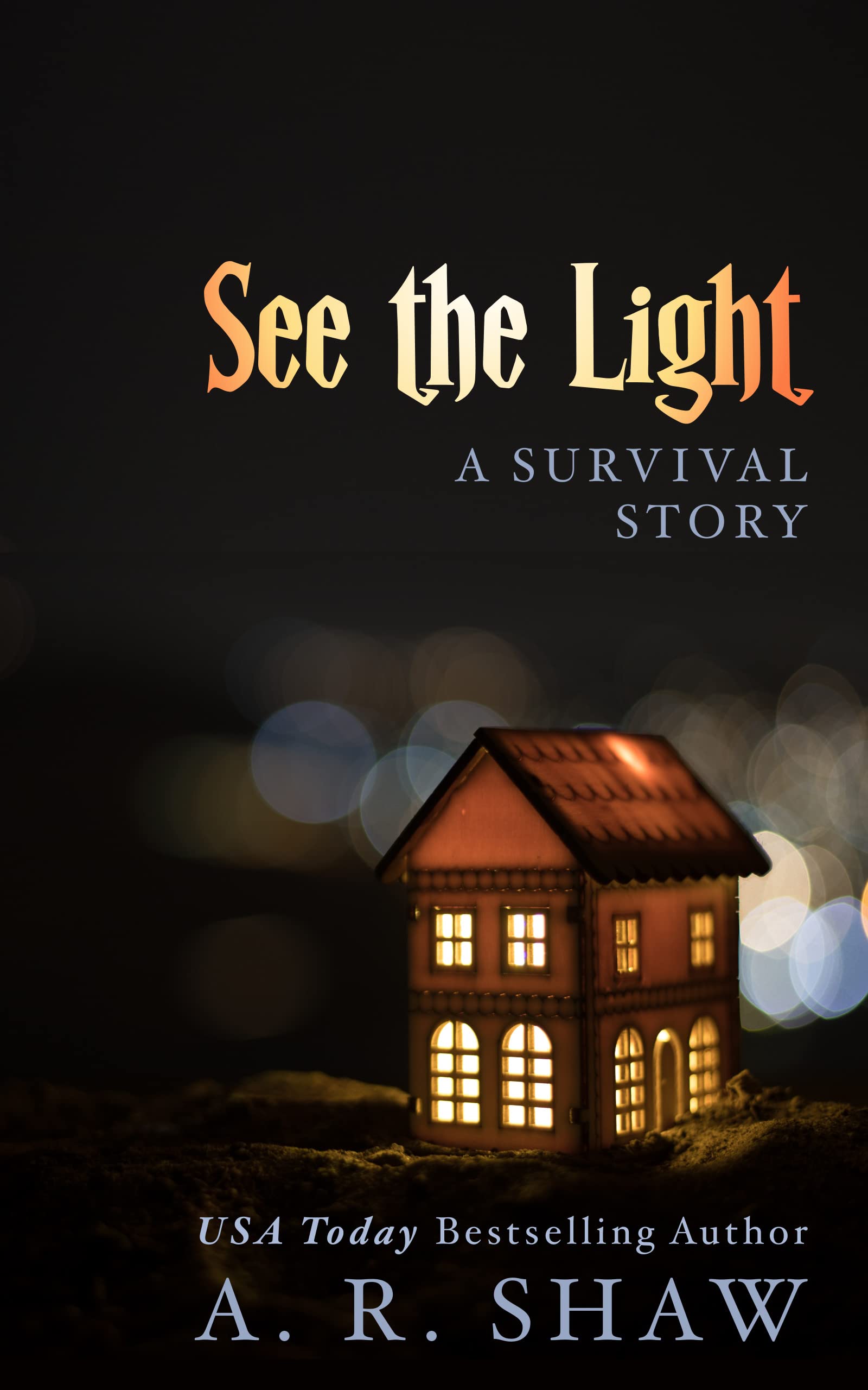 See the Light book cover