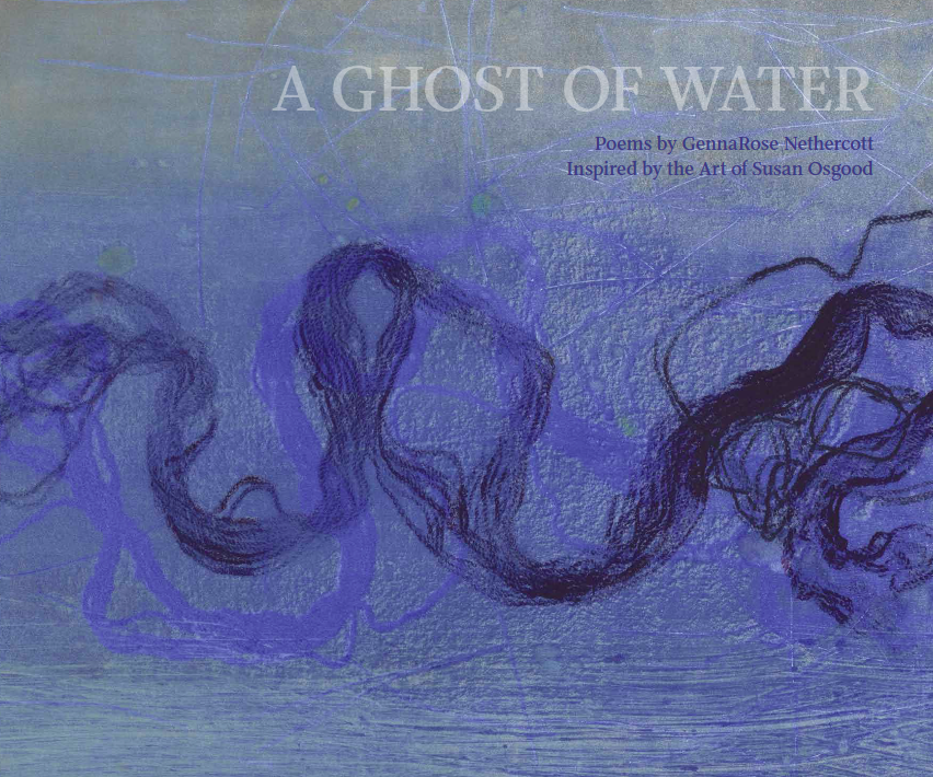 A Ghost of Water book cover