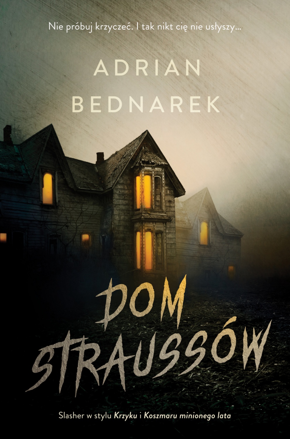 Dom Straussów book cover