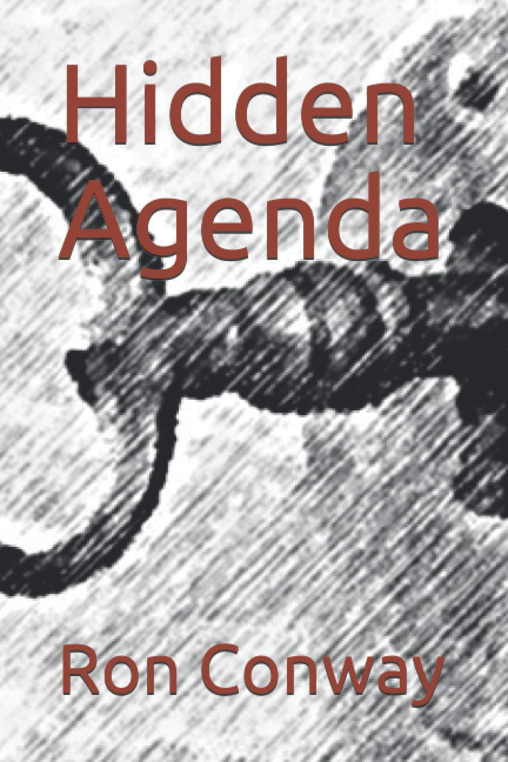 Hidden Agenda
