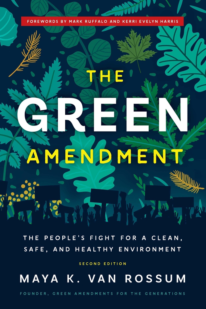 The Green Amendment: The People's Fight for a Clean, Safe, and Healthy ...