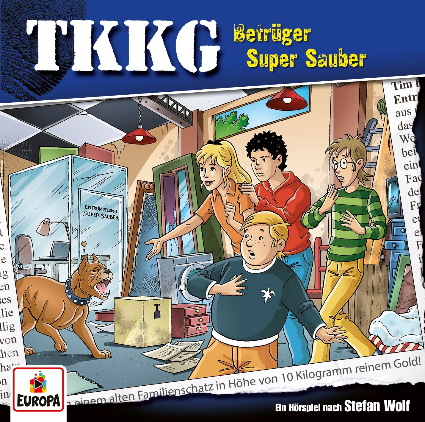 Betrüger Super Sauber book cover