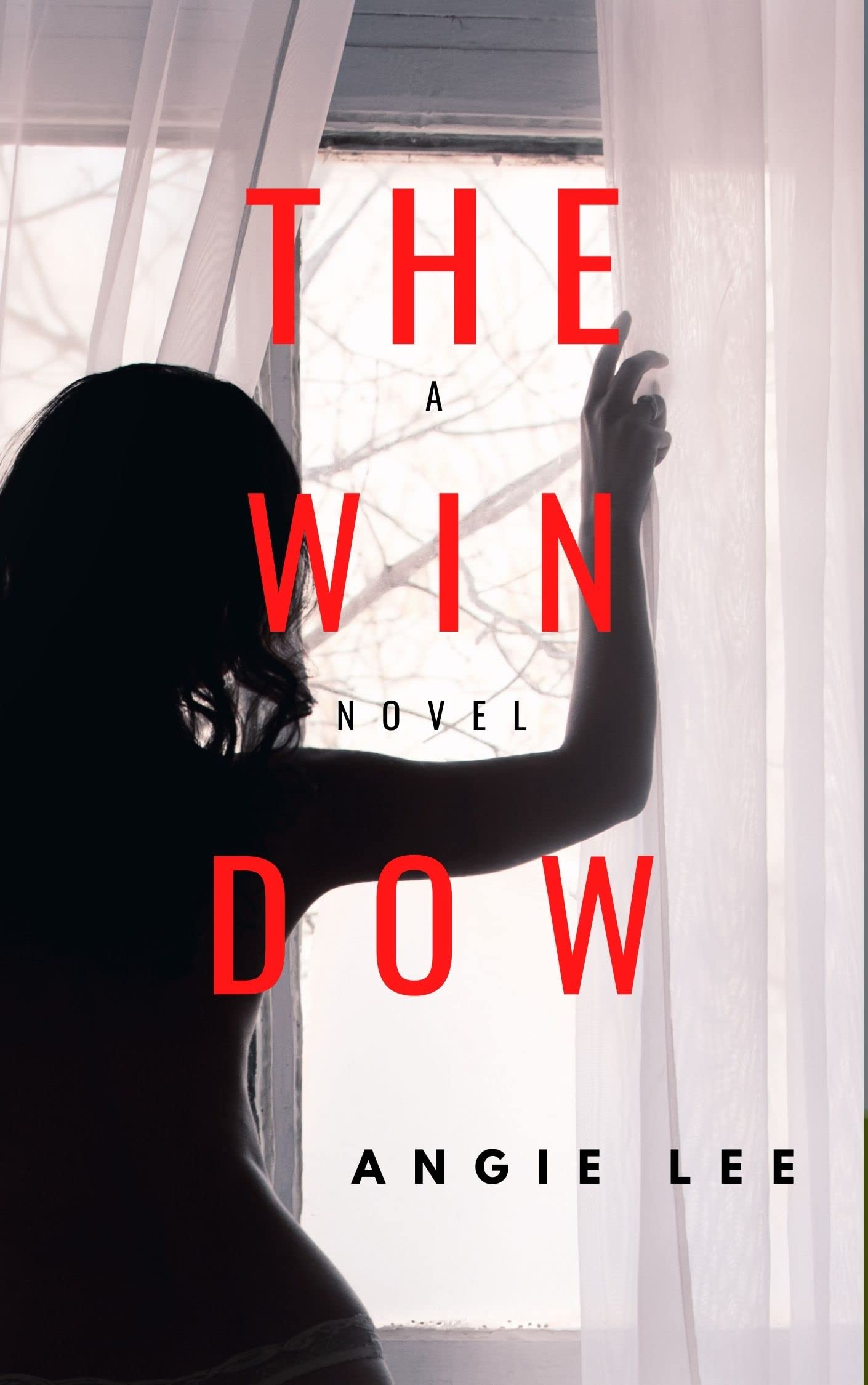 The Window