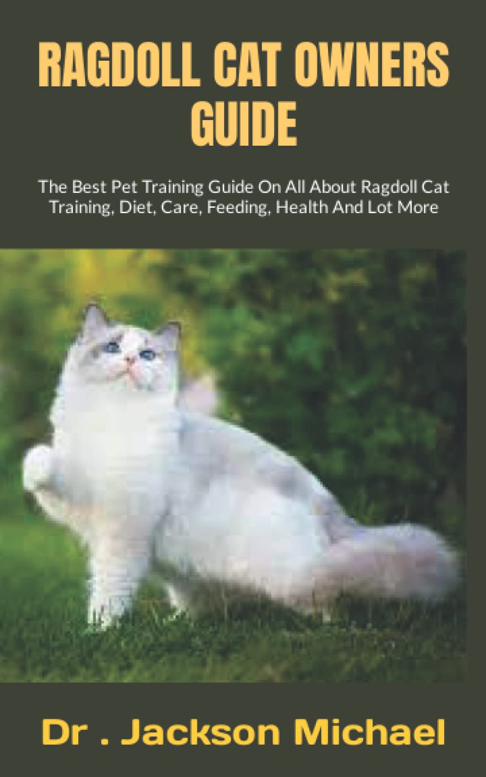 RAGDOLL CAT OWNERS GUIDE The Best Pet Training Guide On All About