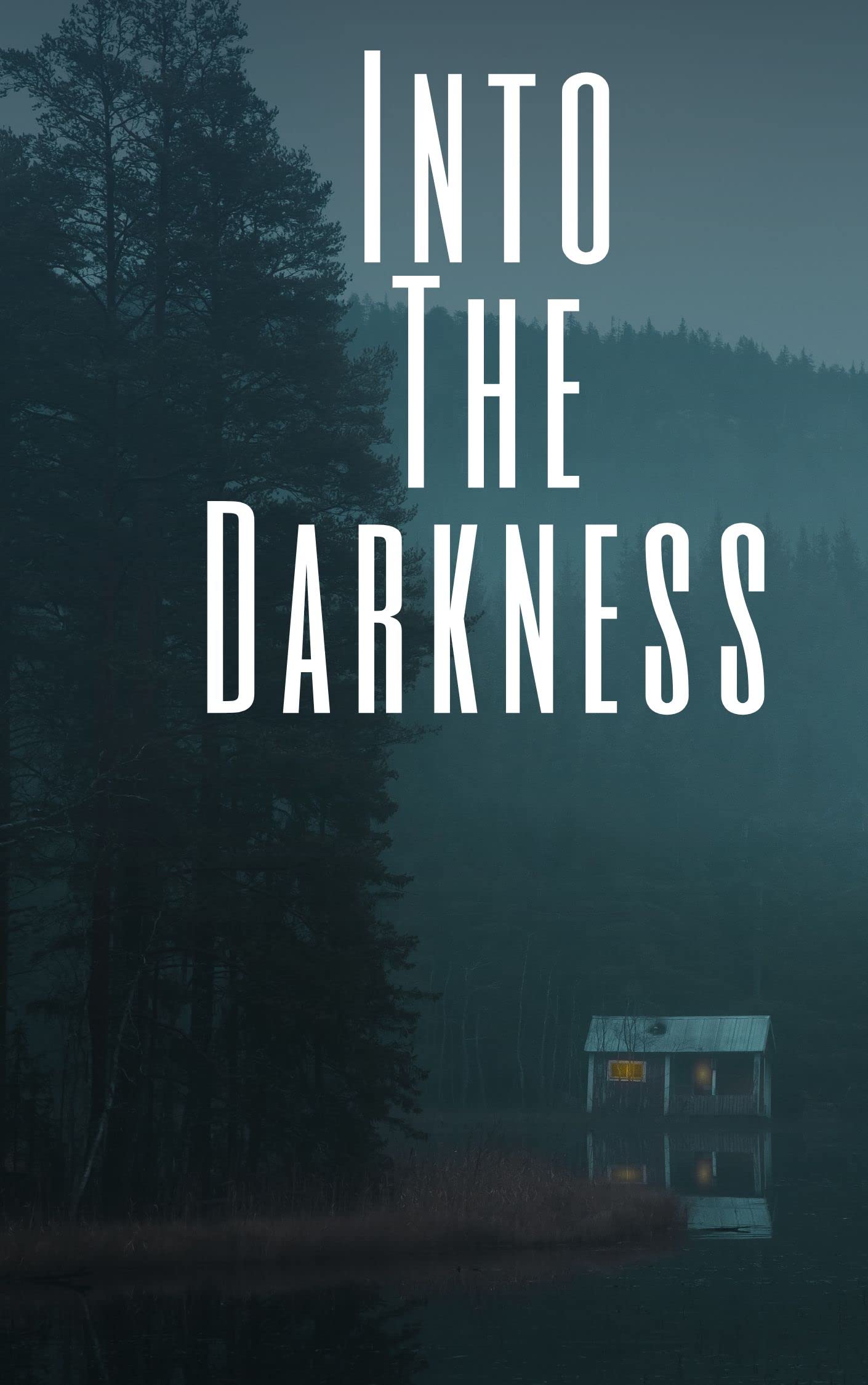 Into the Darkness book cover
