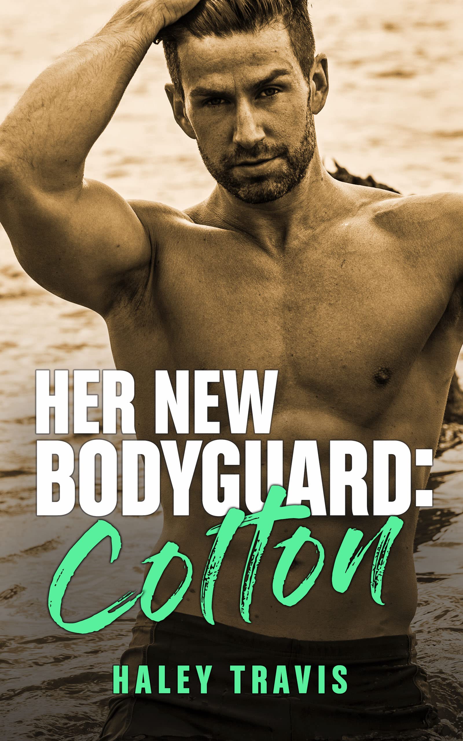 Bodyguards book cover 3